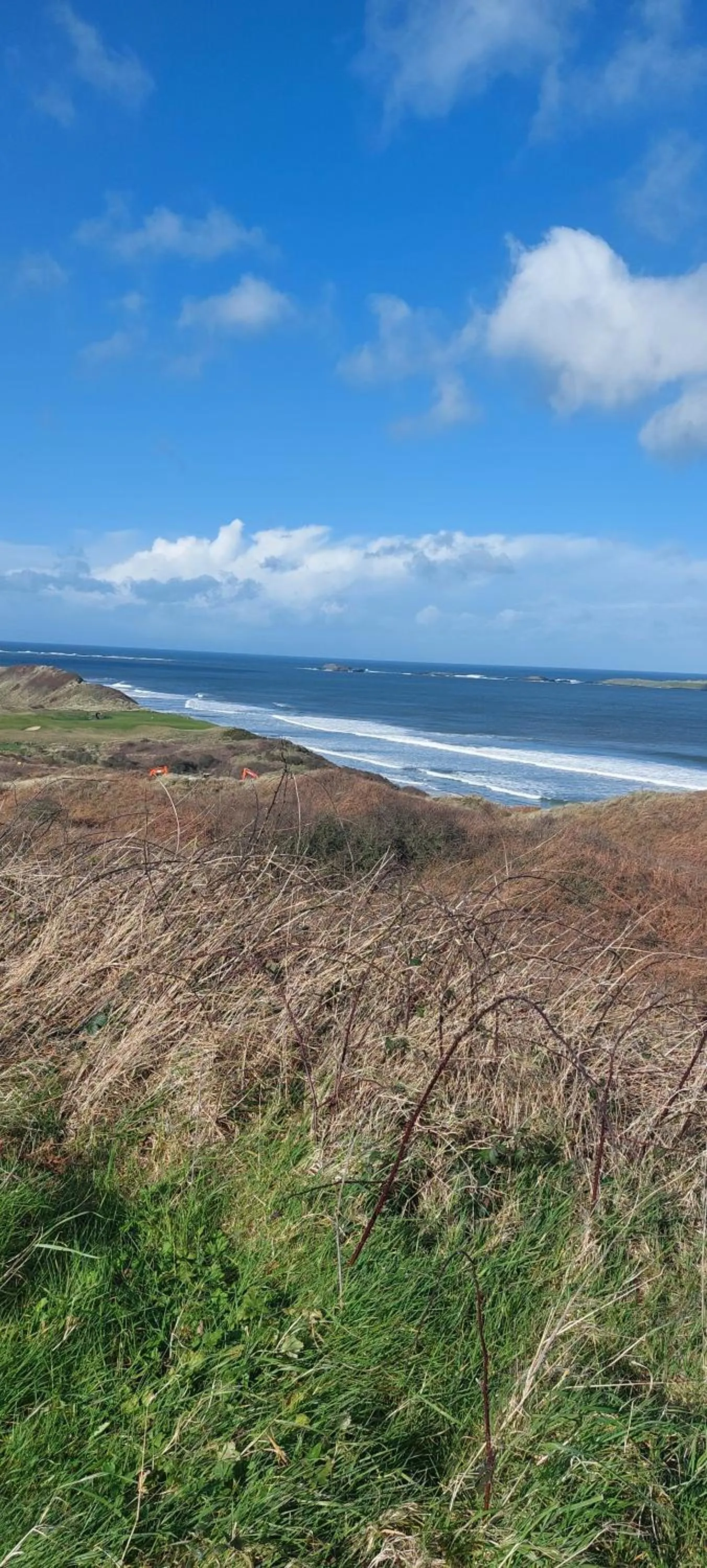 Beach in Braeside B&B