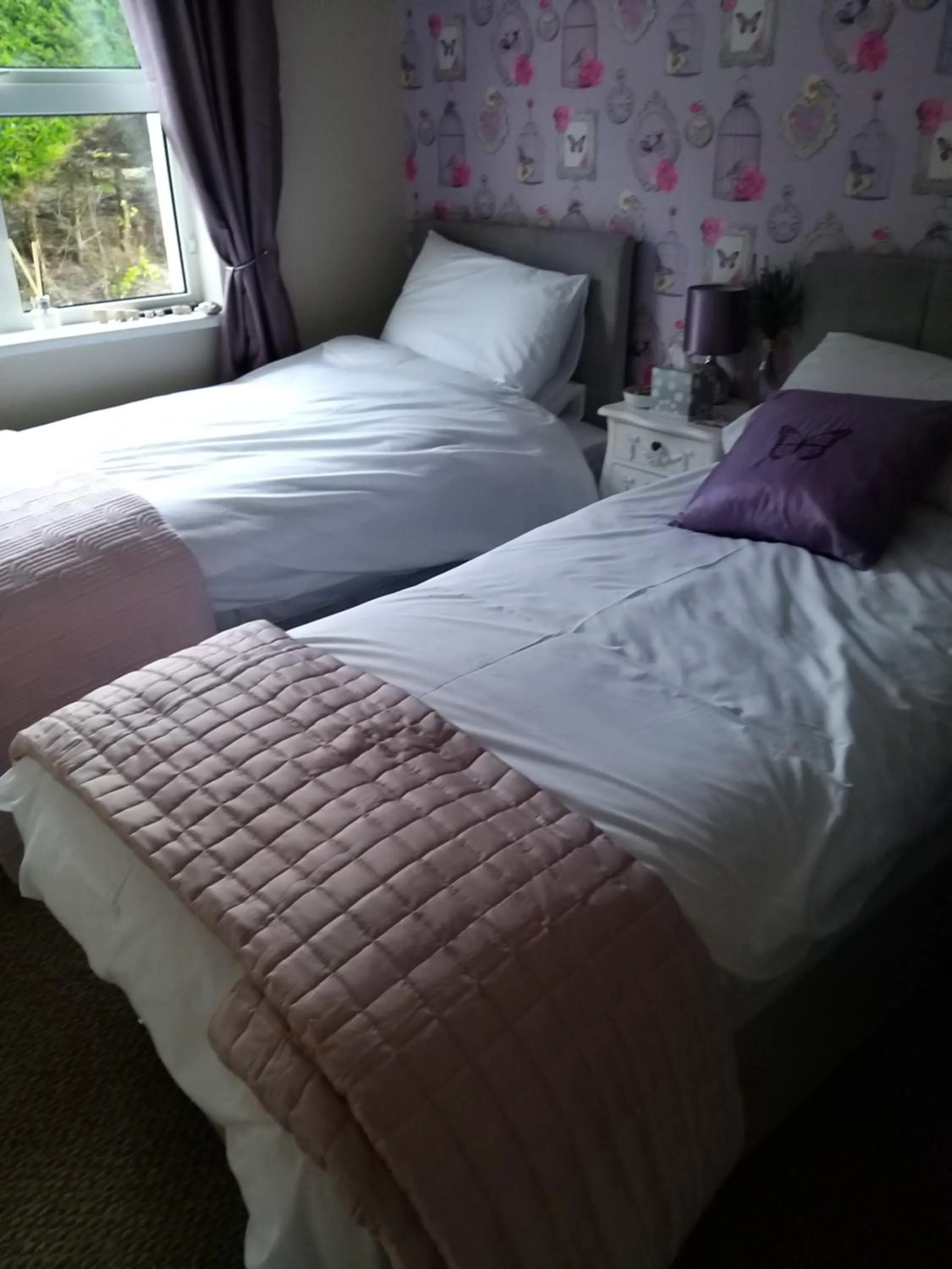 Bed in Braeside B&B