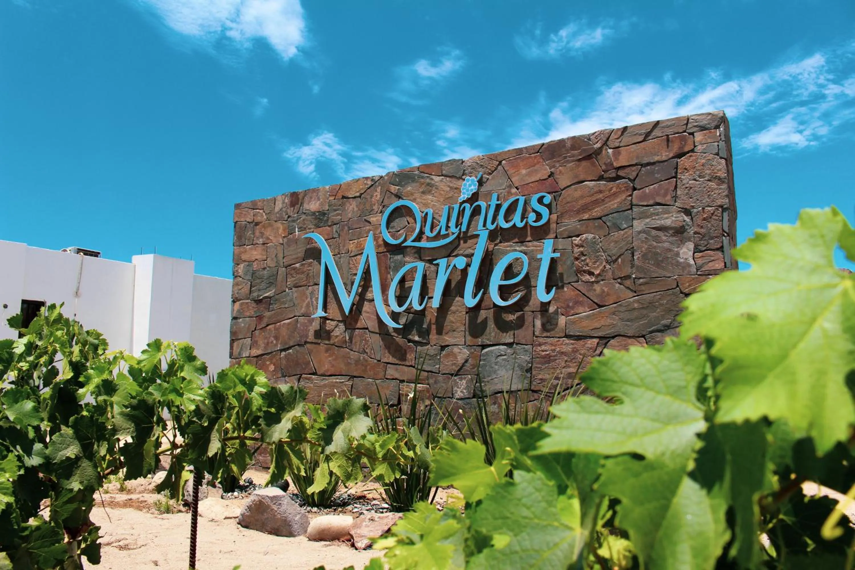 Quintas Marlet en la ruta del vino
