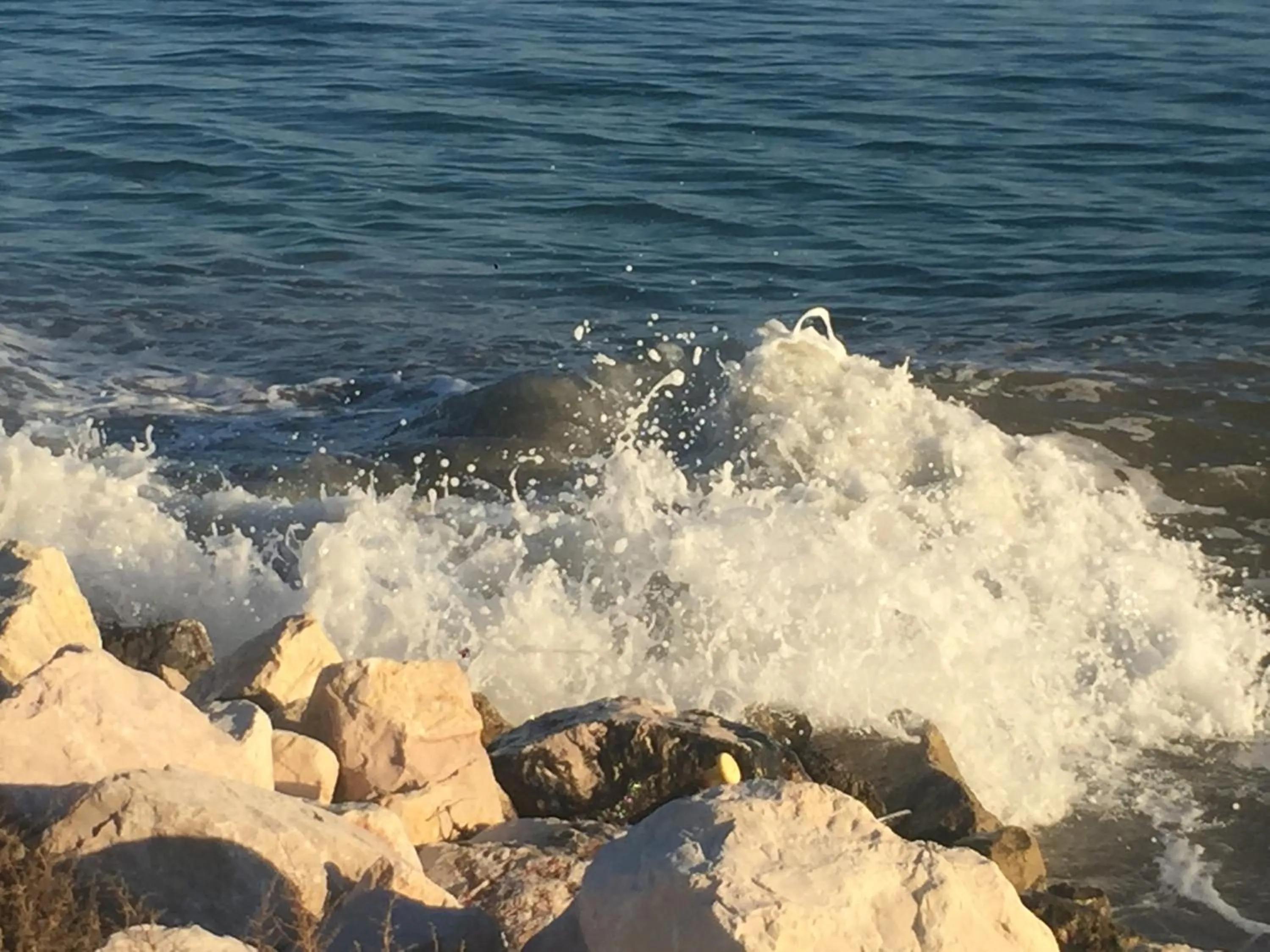 Natural landscape in Le stanze di Botticelli
