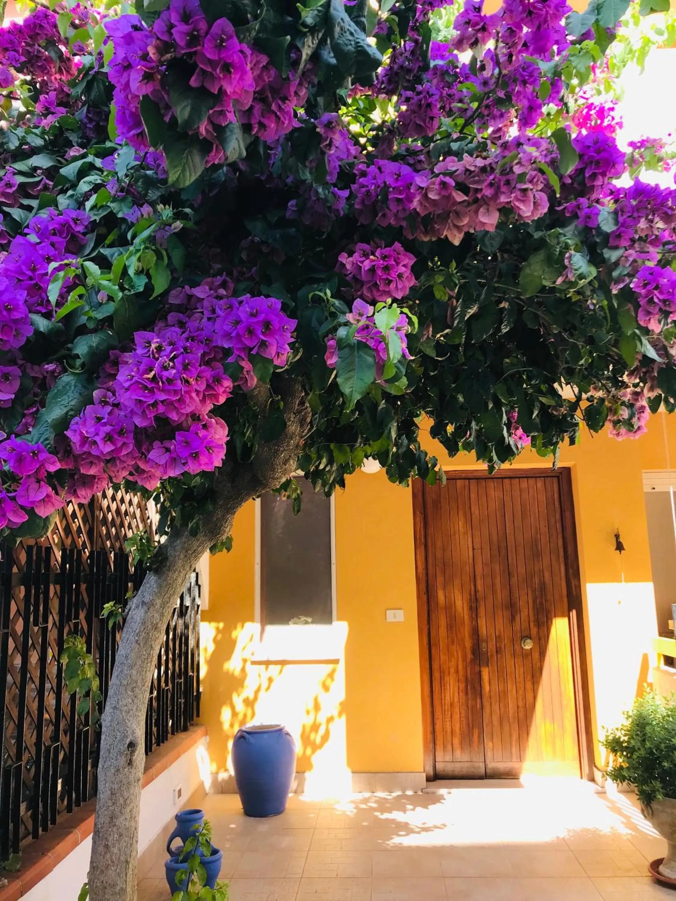 Patio in Le stanze di Botticelli