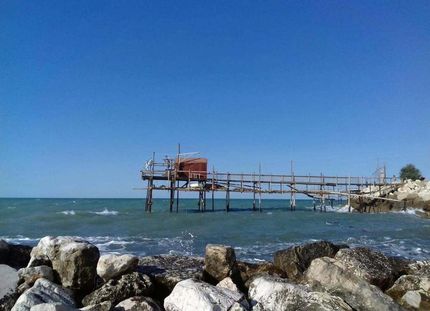 Natural landscape in Le stanze di Botticelli