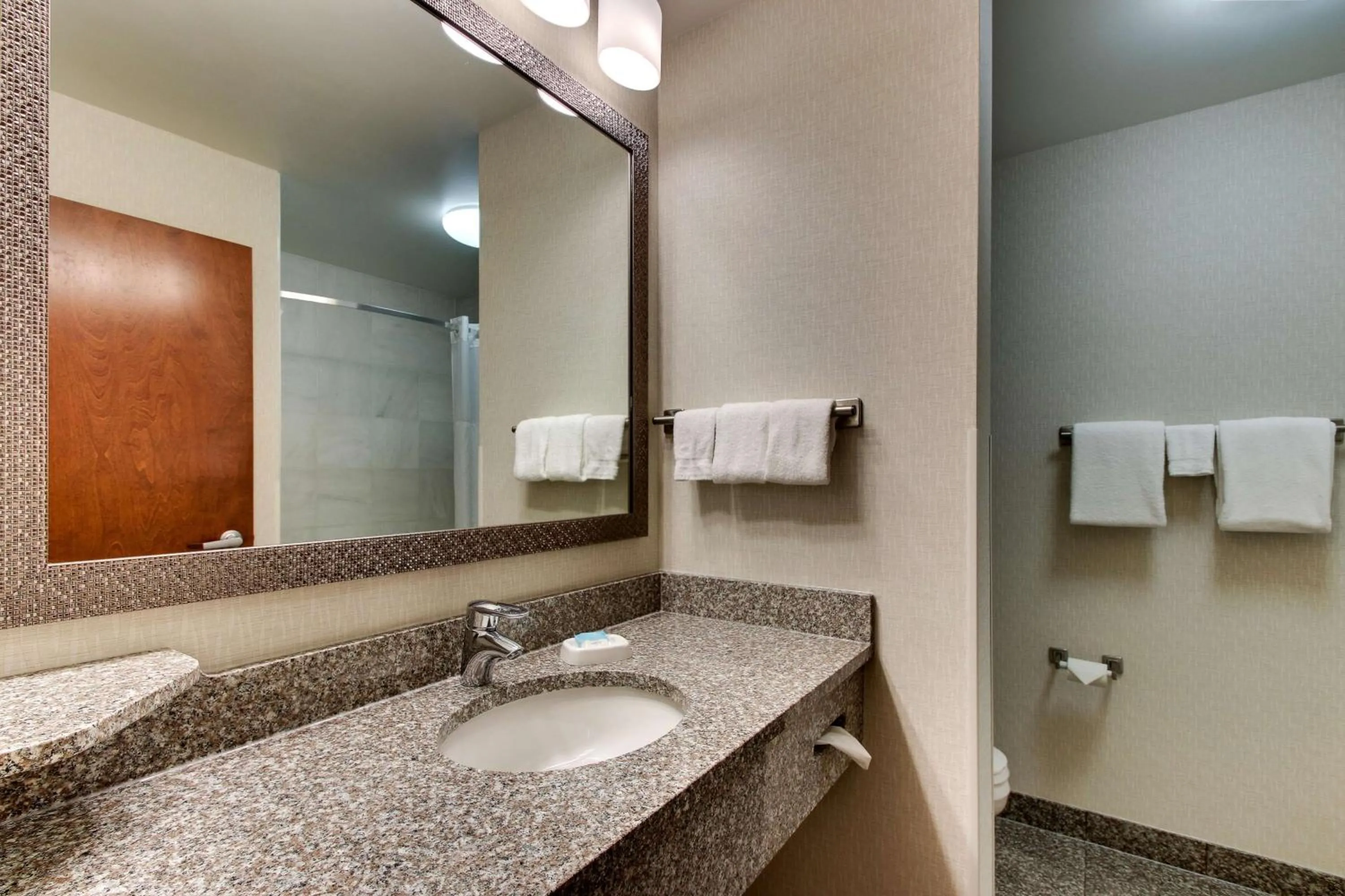 Bathroom in Drury Inn & Suites Meridian