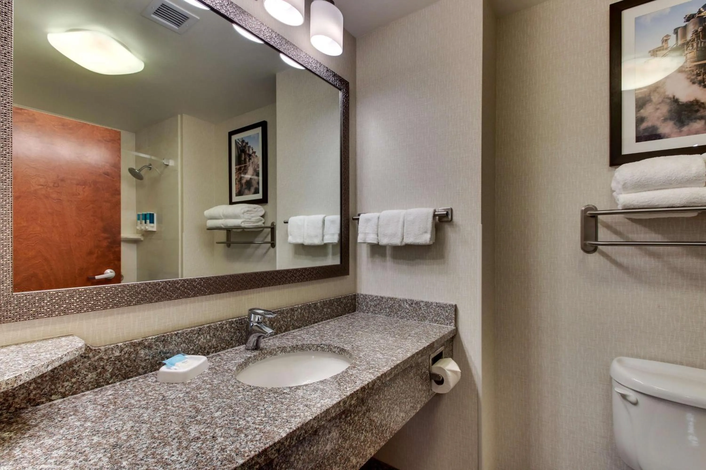 Bathroom in Drury Inn & Suites Meridian