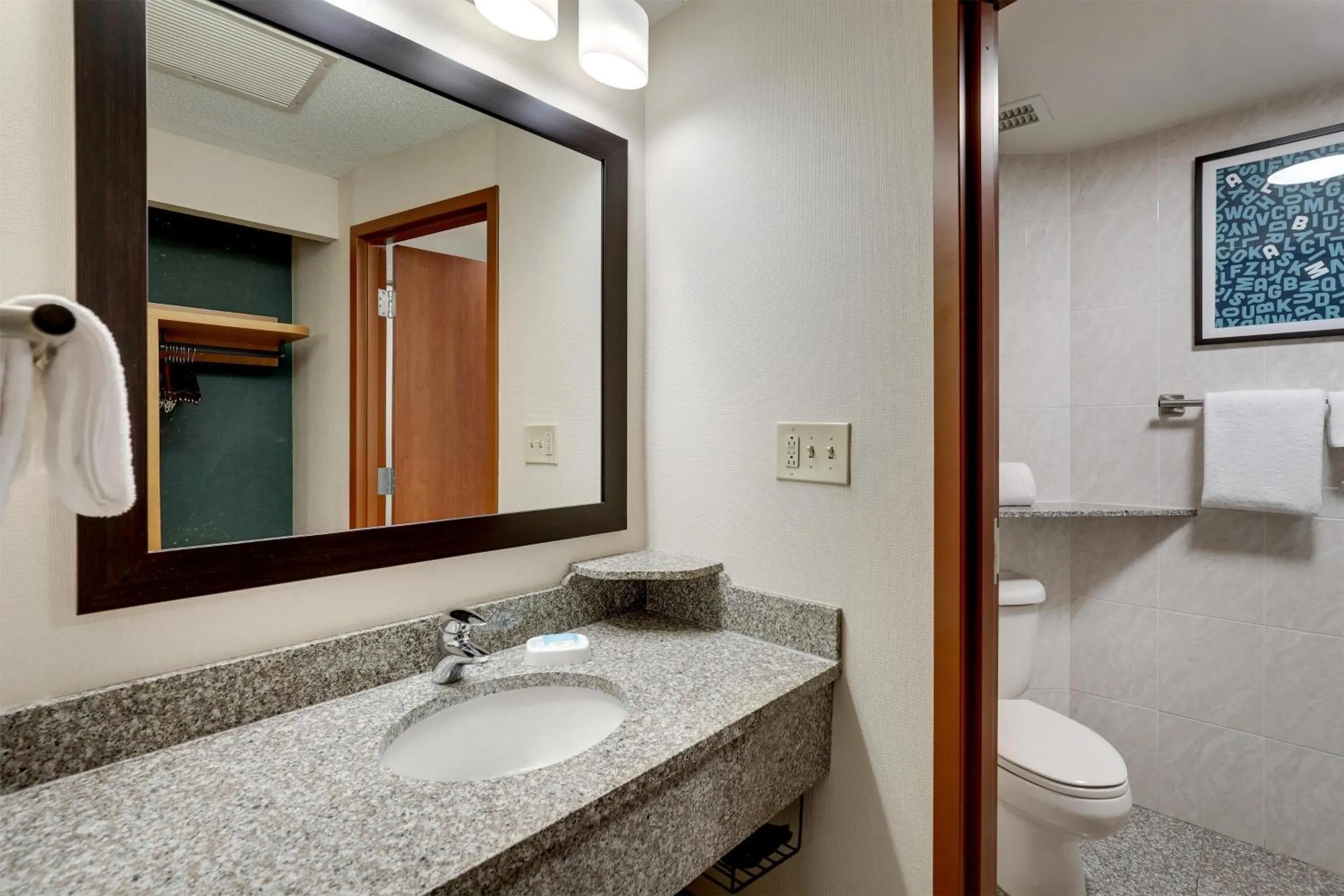 Bathroom in Drury Inn & Suites Montgomery