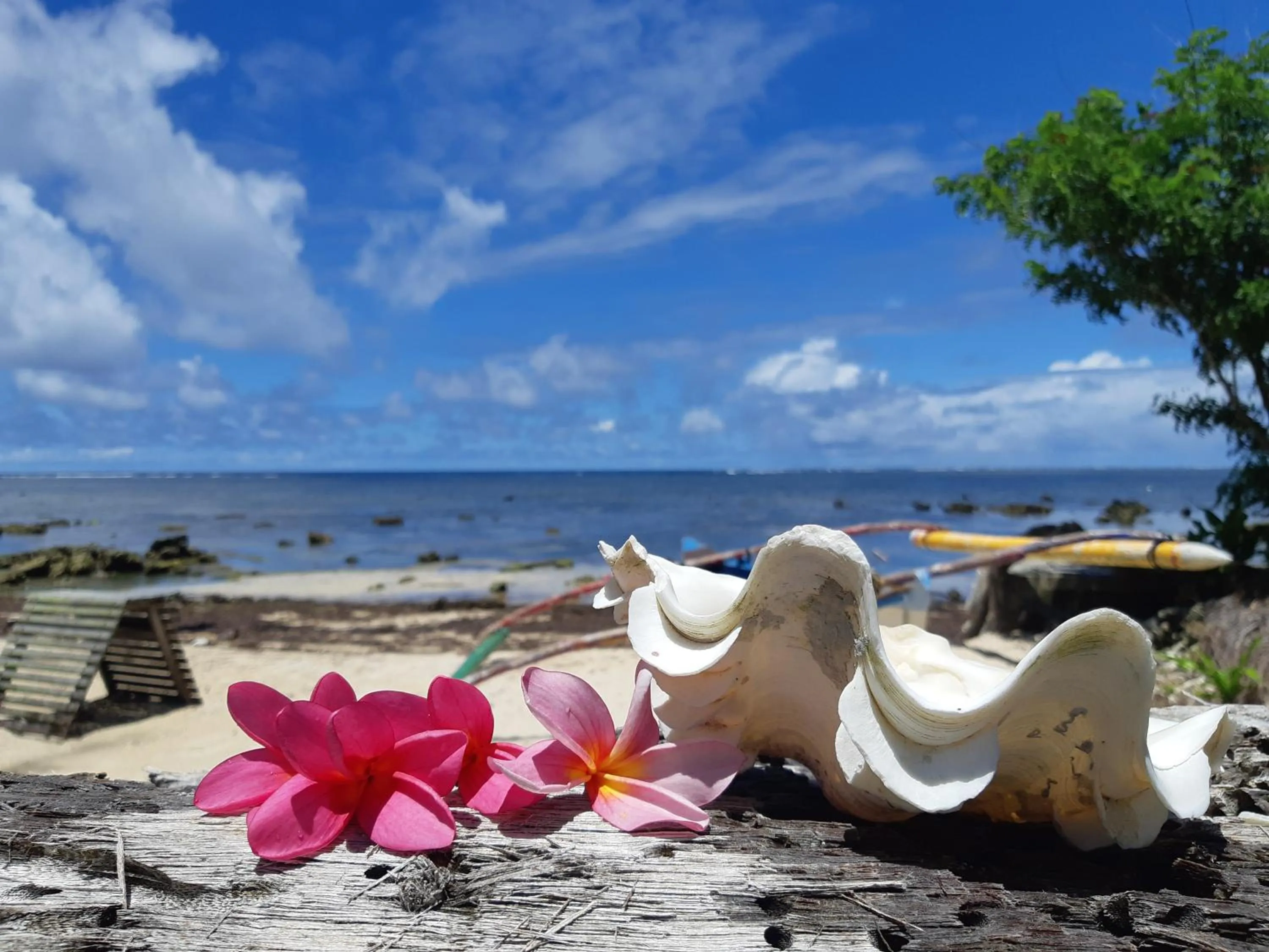 Daluyong Beach Resort