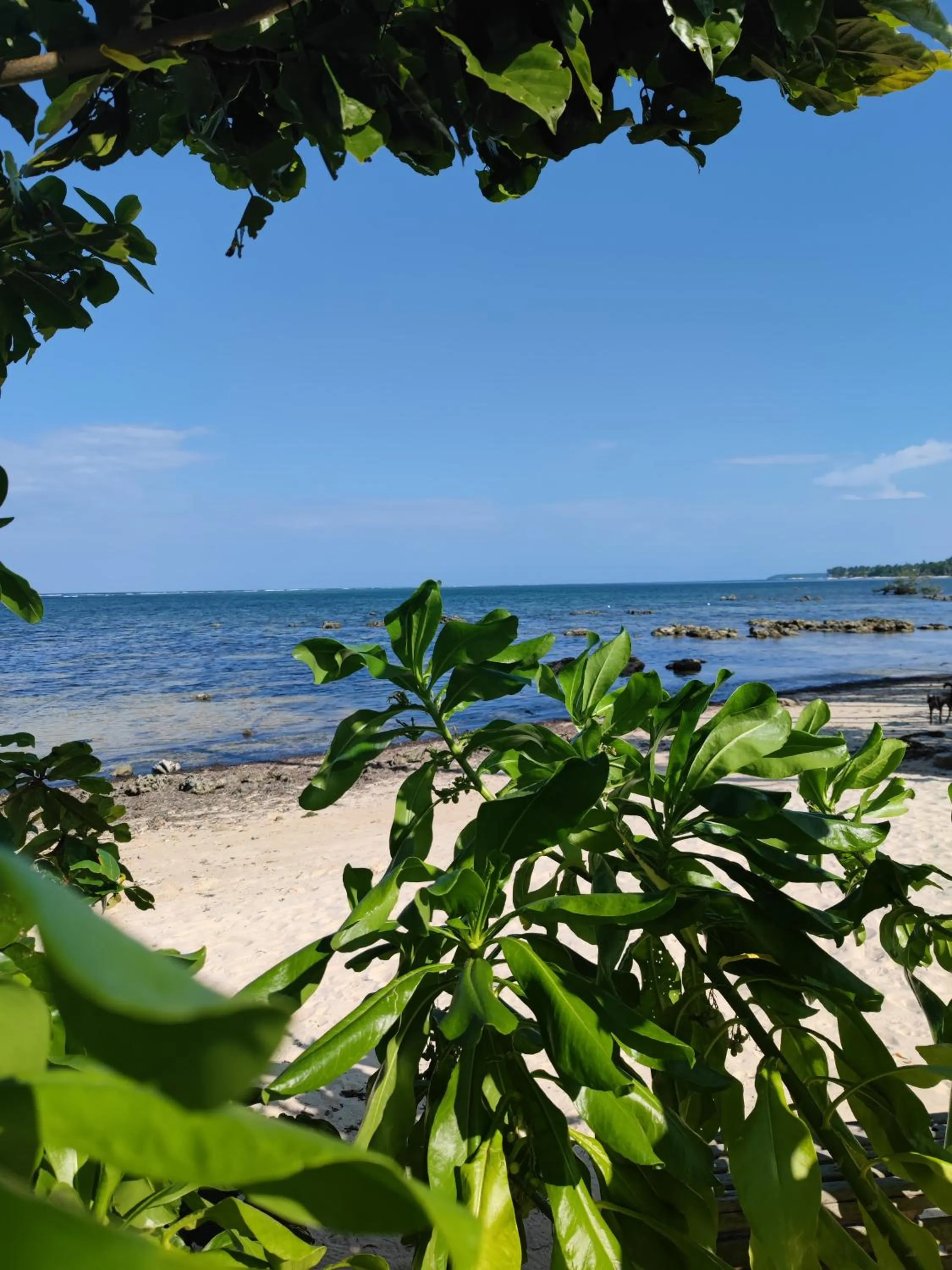 Daluyong Beach Resort