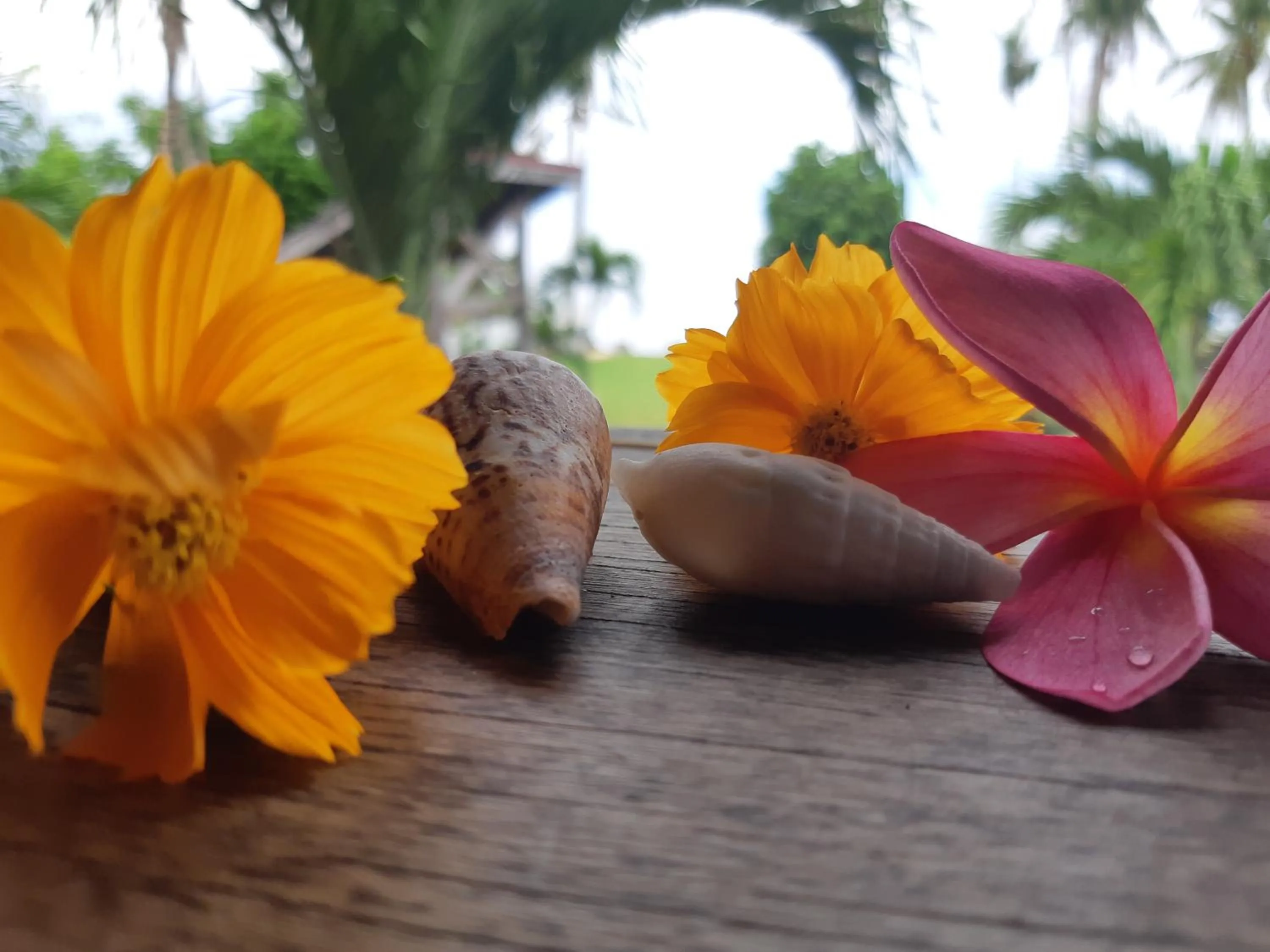 Daluyong Beach Resort