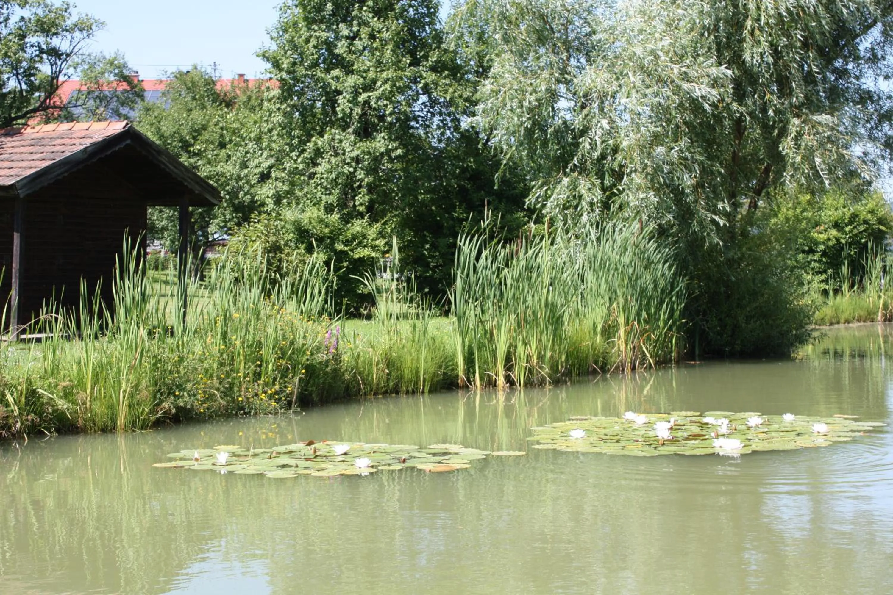 Natural landscape in Gasthof Koller