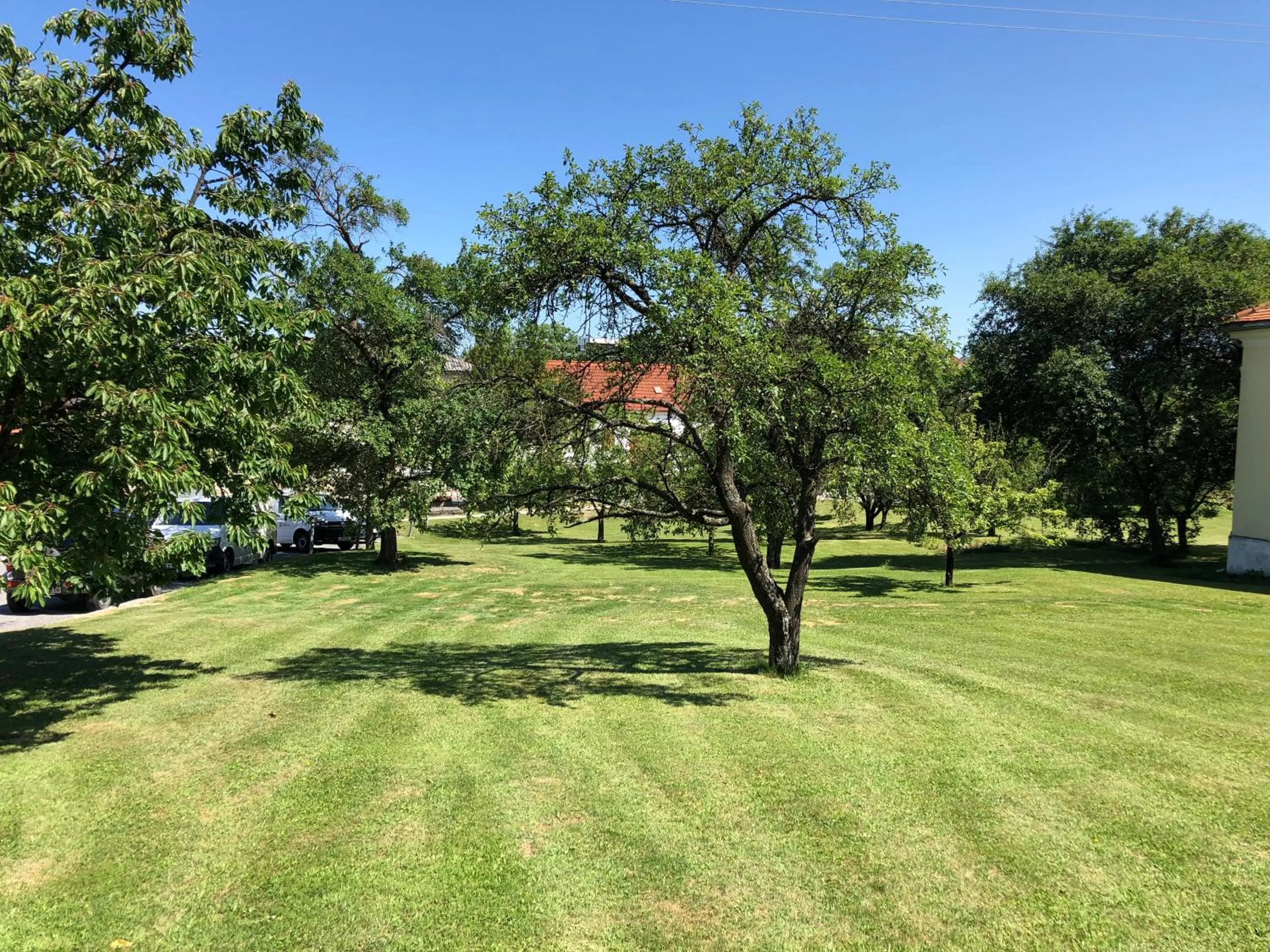 Garden view in Gasthof Koller