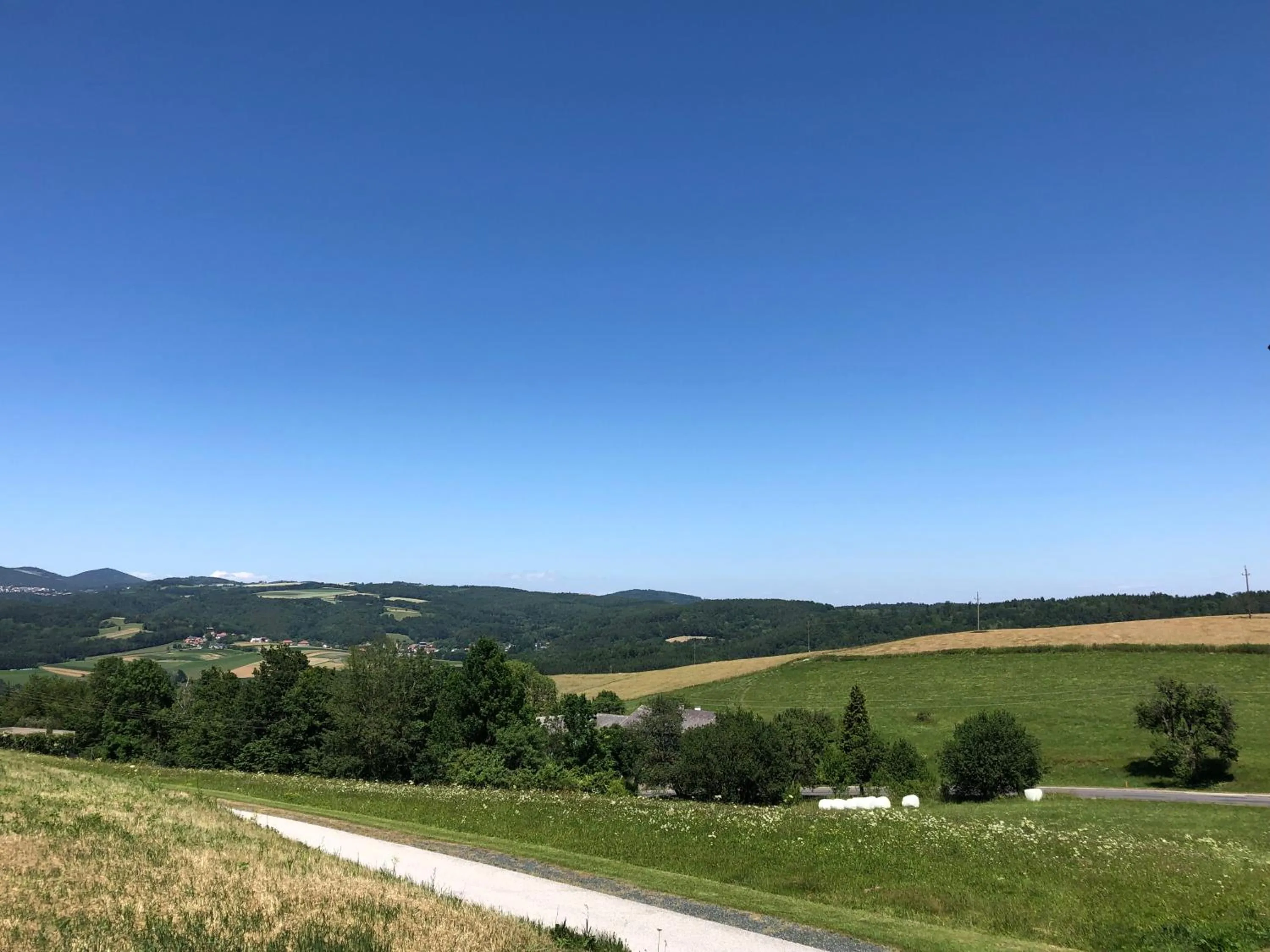Mountain view in Gasthof Koller
