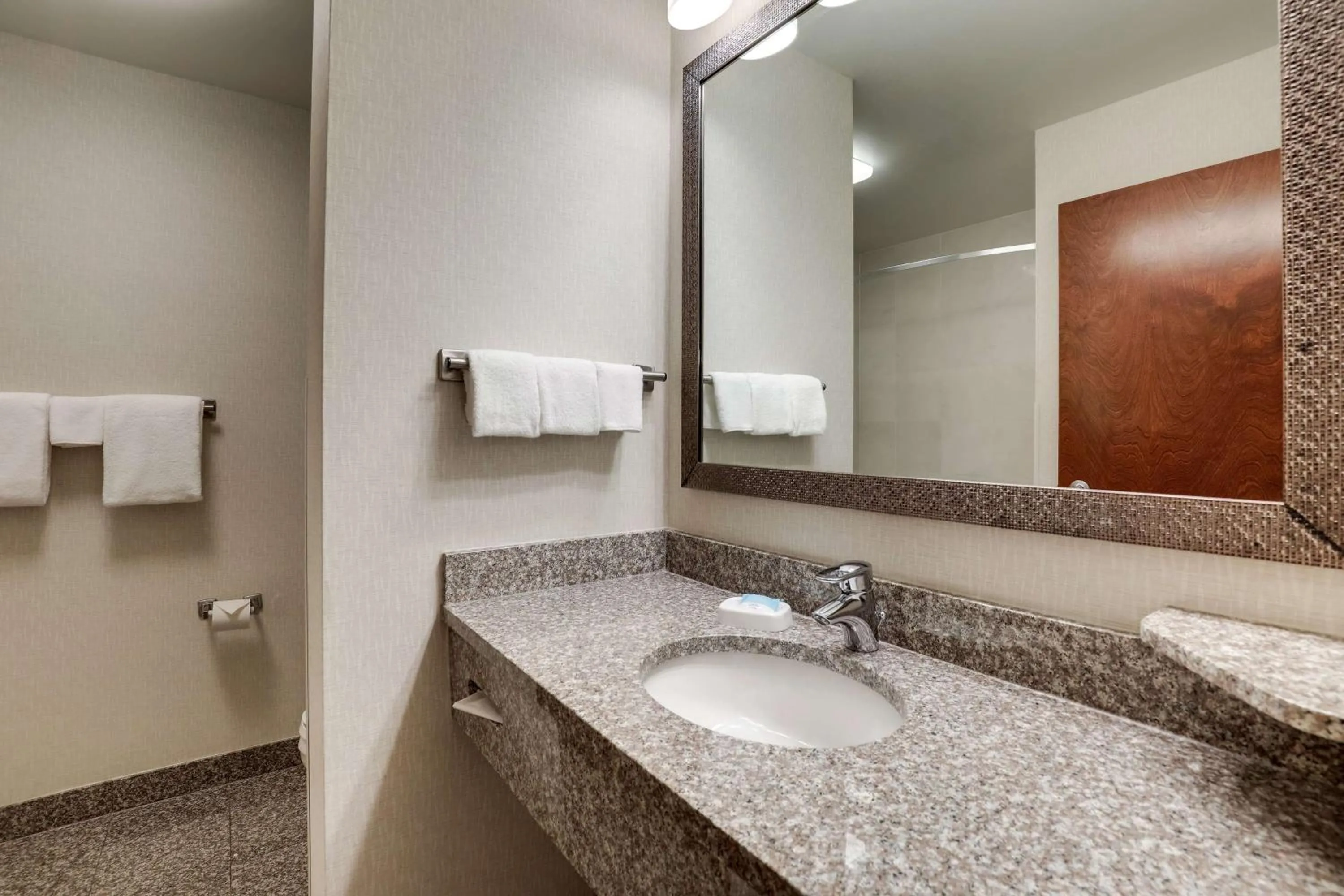 Bathroom in Drury Inn & Suites Charlotte Northlake