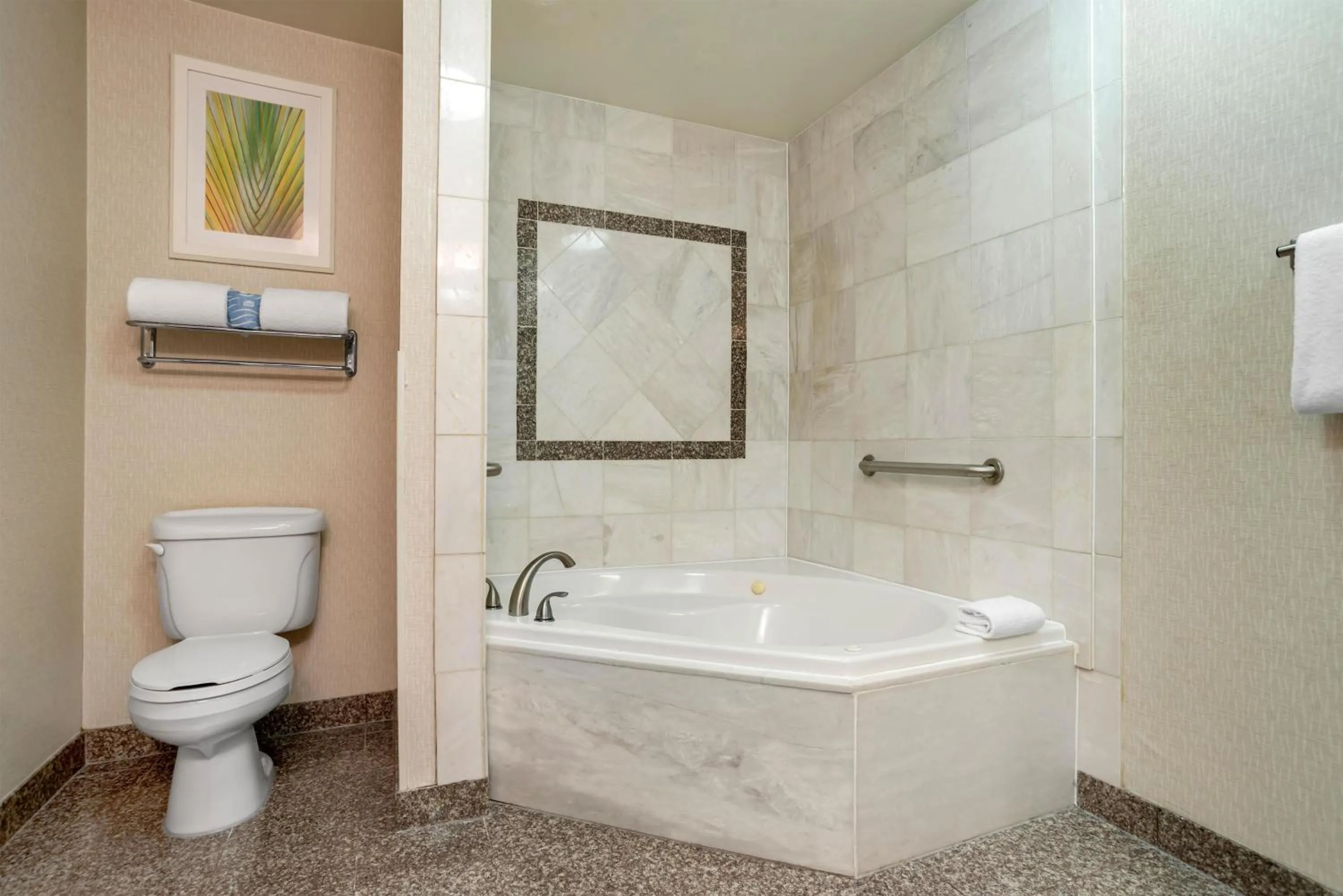 Bathroom in Drury Inn & Suites Baton Rouge