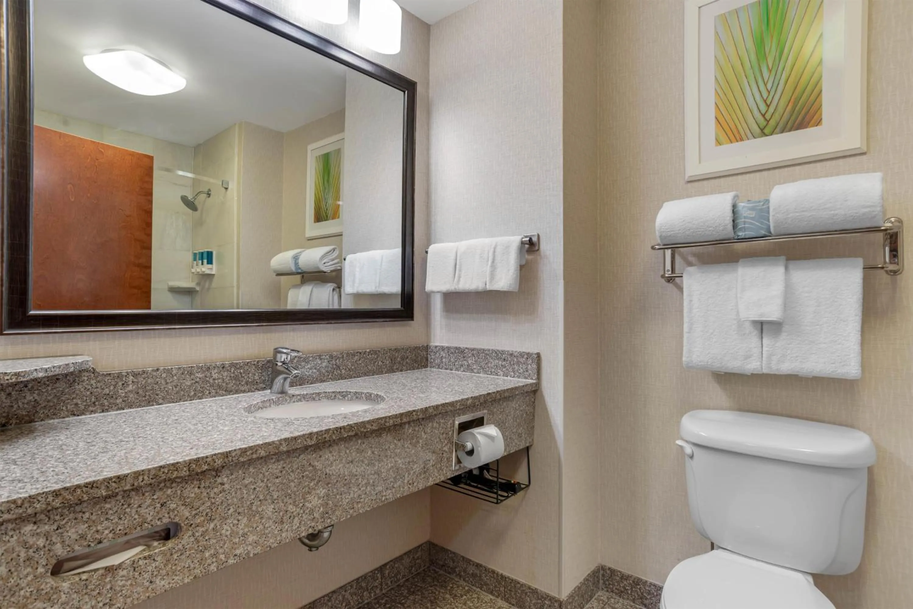 Bathroom in Drury Inn & Suites Baton Rouge