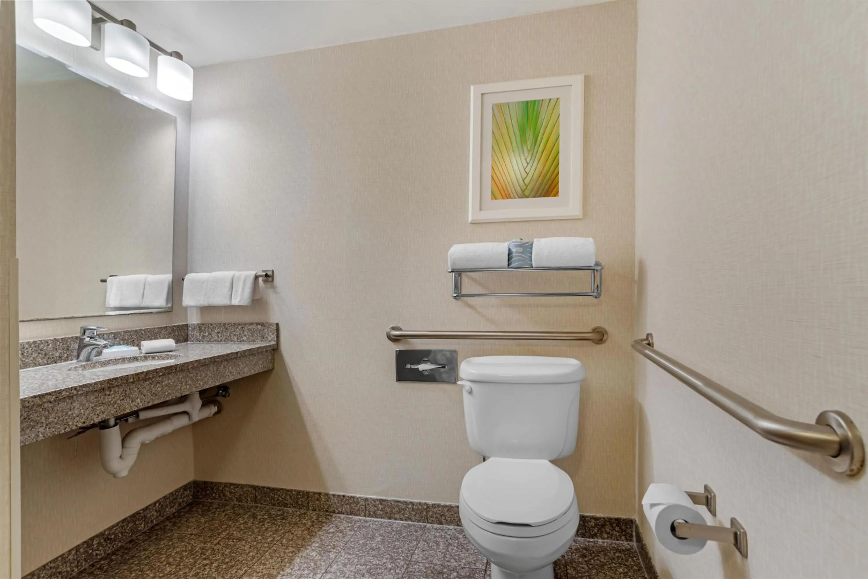 Bathroom in Drury Inn & Suites Baton Rouge