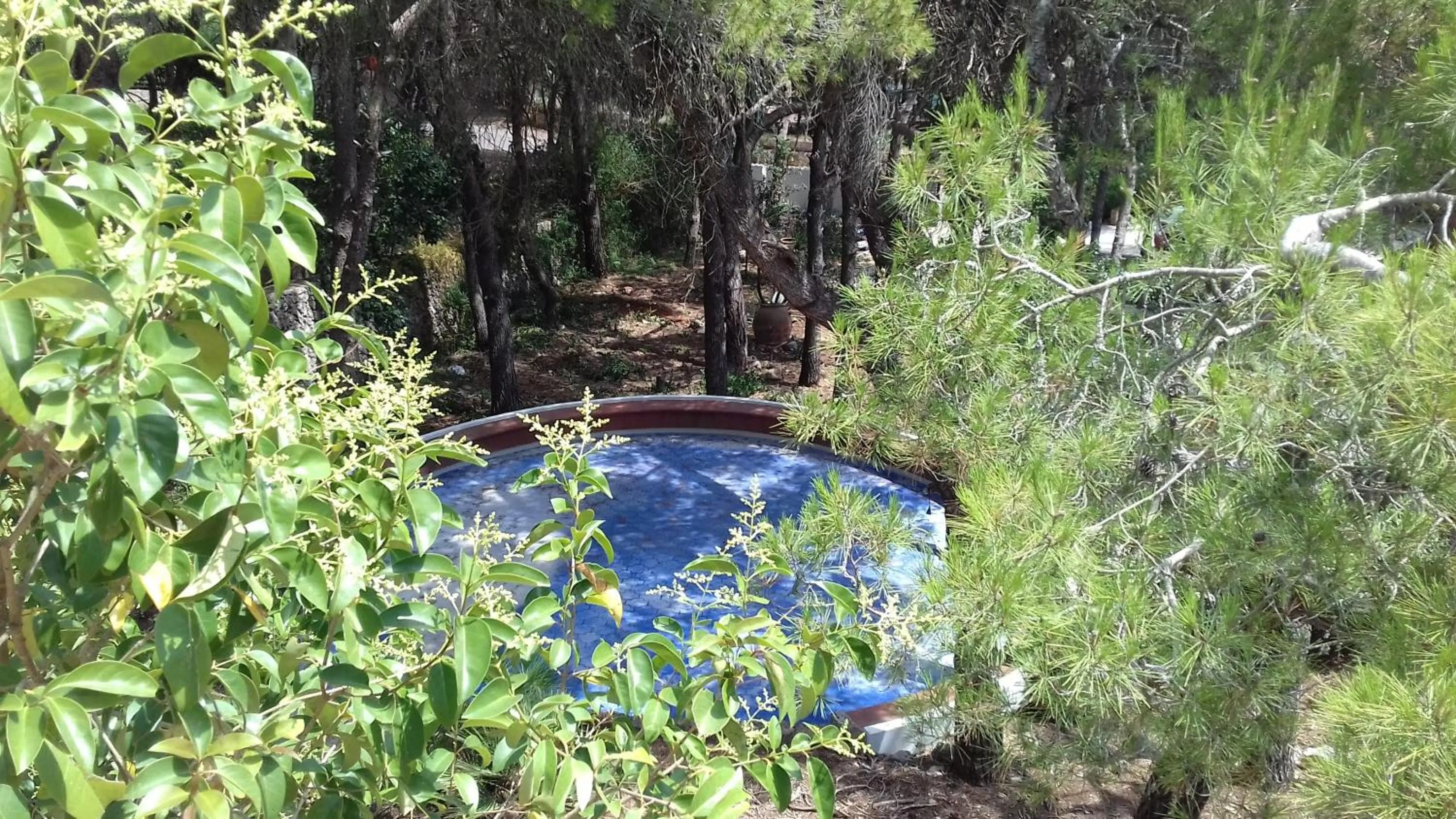 Garden in Dimora Villa Serena Porto Selvaggio