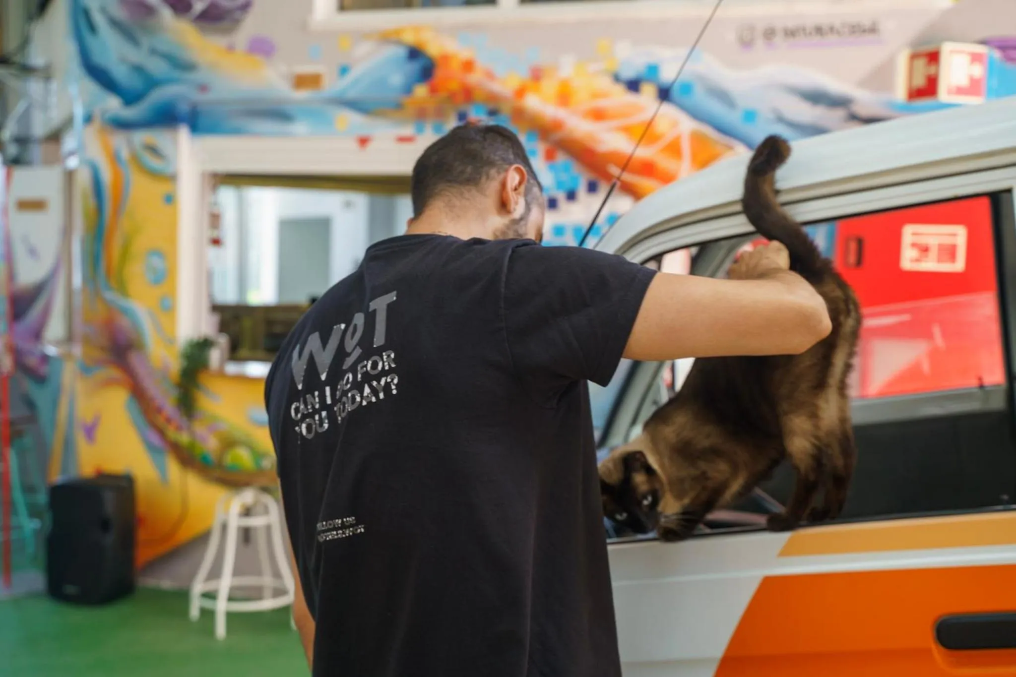 Animals in WOT Peniche Social