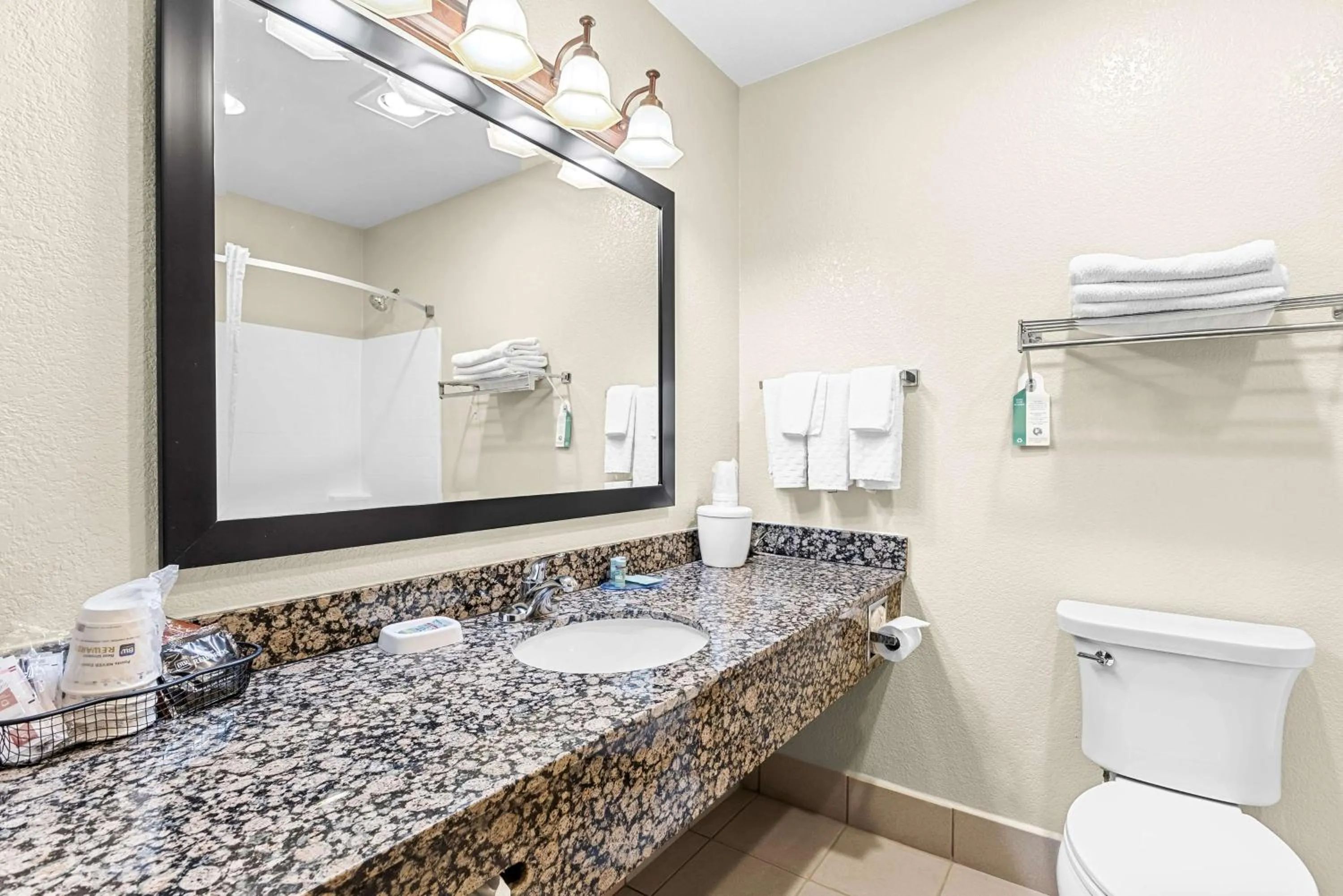 Bathroom in Best Western Apache Junction Inn