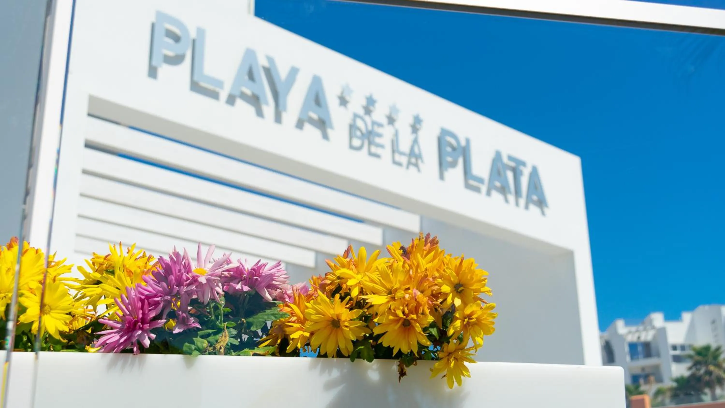 Property building in Hotel Playa de la Plata