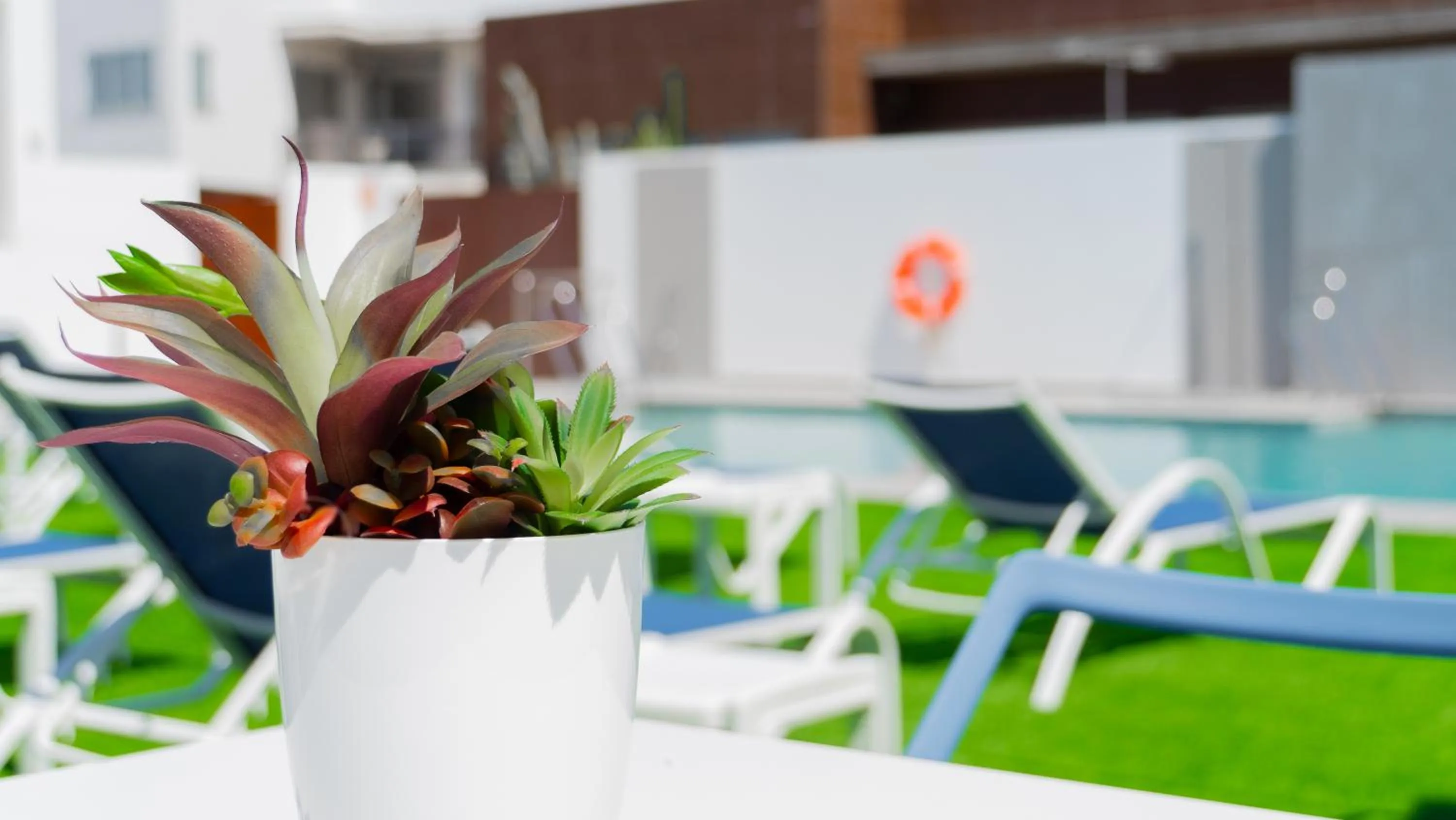 Swimming pool in Hotel Playa de la Plata