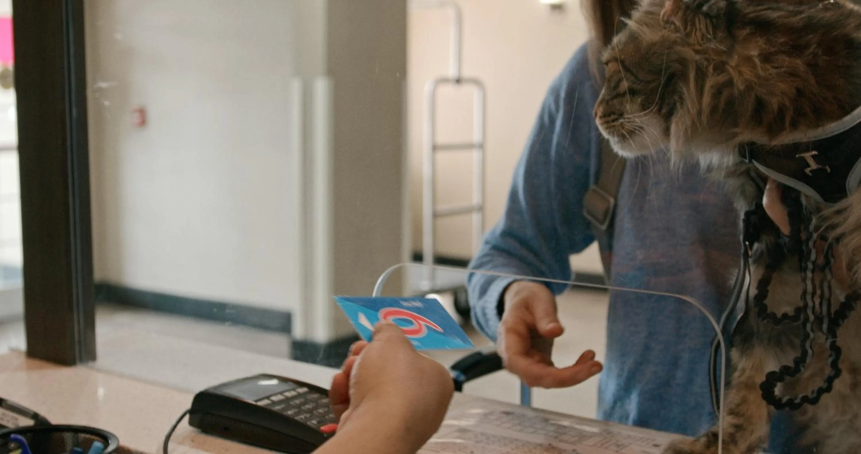 pet friendly in Motel 6 Portland, IN