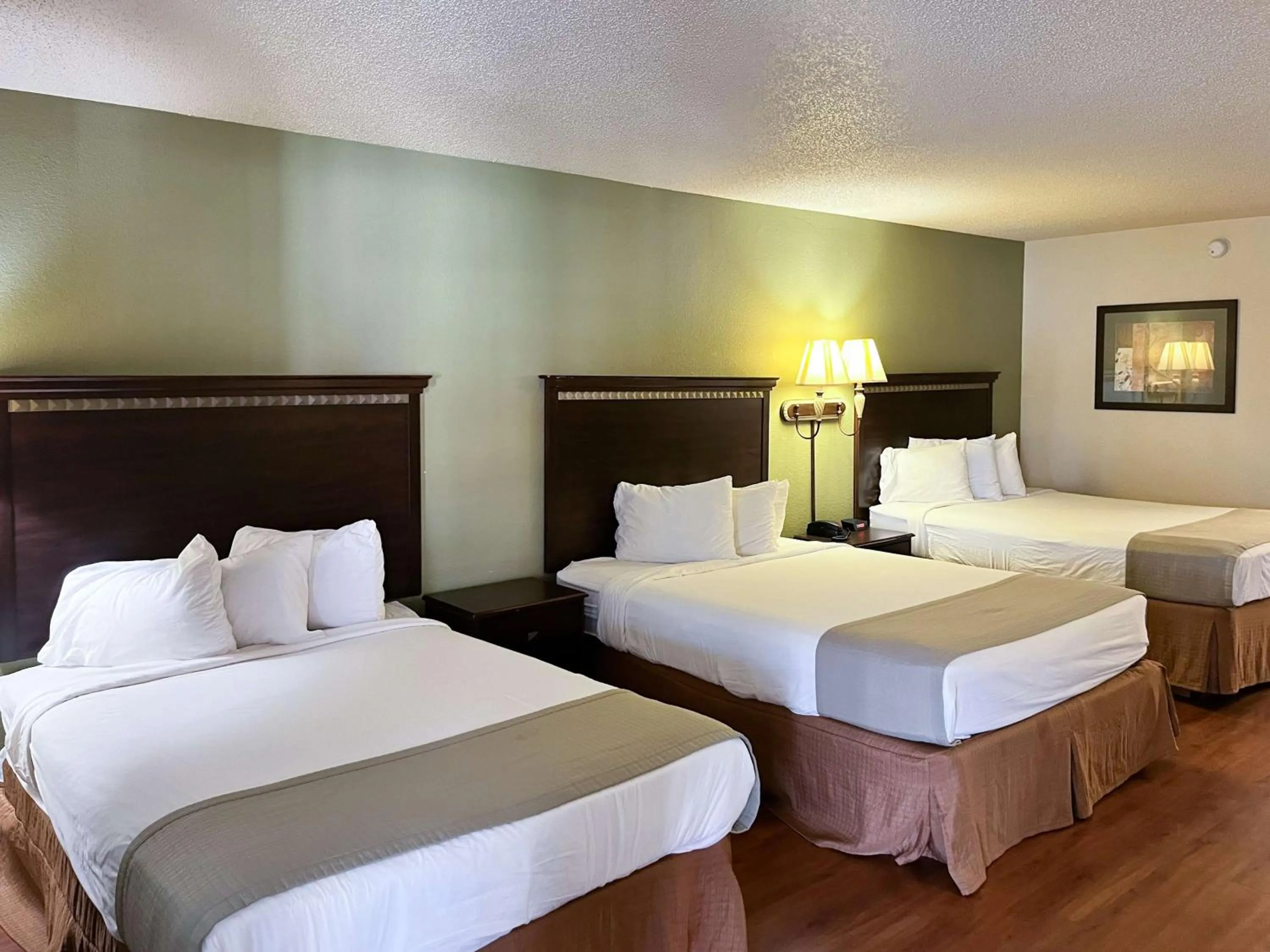 Bedroom, Bed in Motel 6 Abbeville, AL