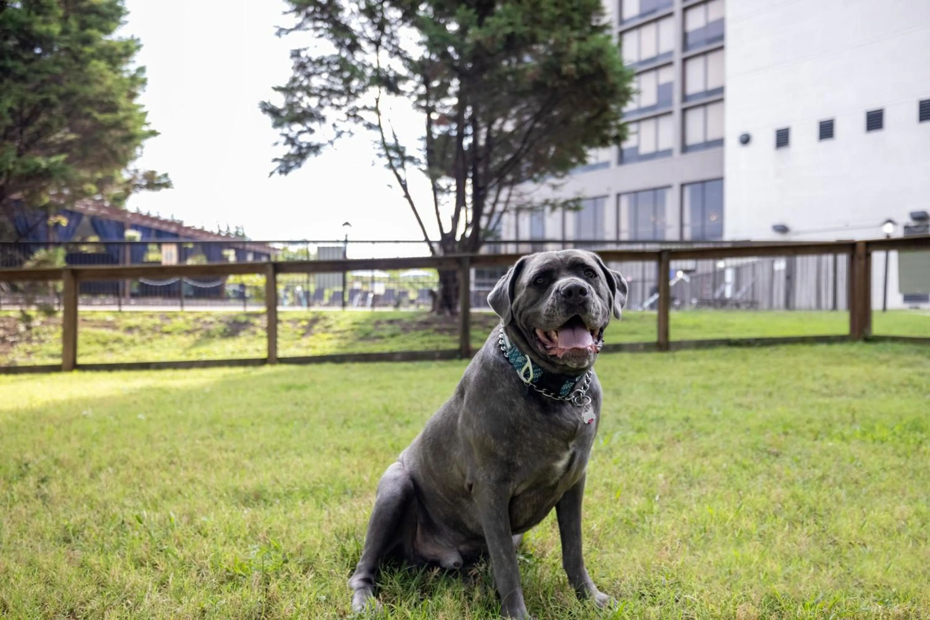 Other in Hotel Preston Nashville Airport