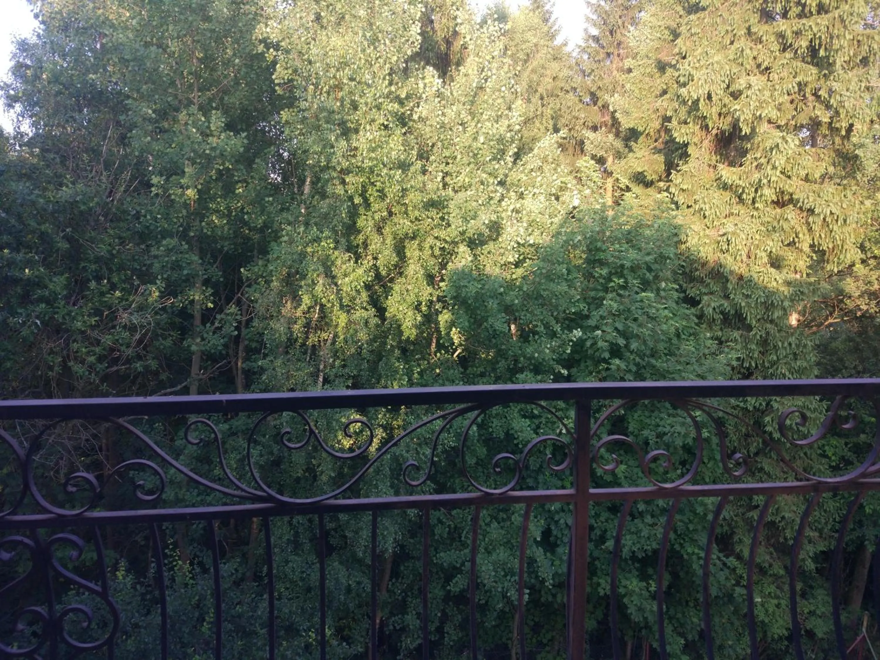 View (from property/room) in Helena Gał