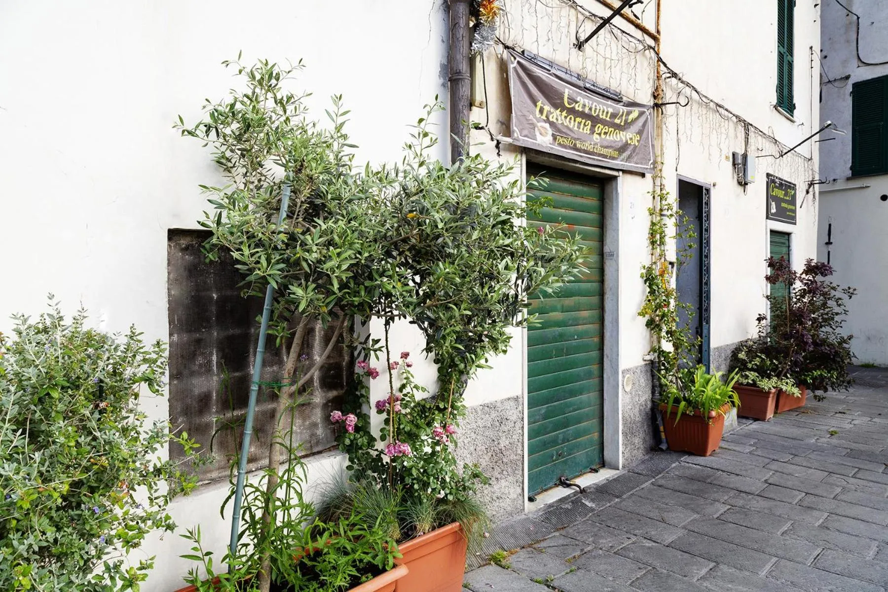 Facade/entrance in Casa Rosa al Molo by Wonderful Italy