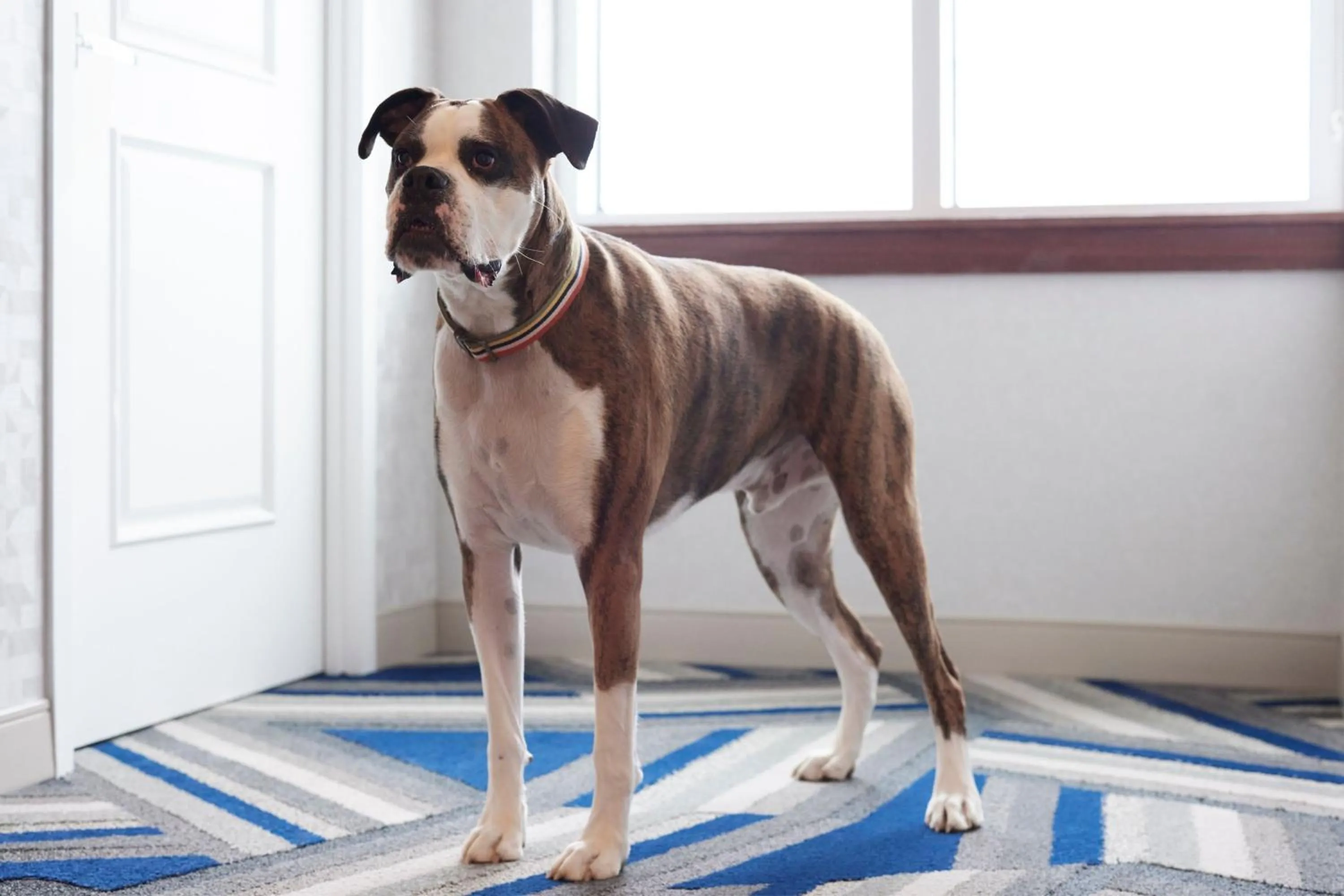 Other in Sheraton Erie Bayfront Hotel