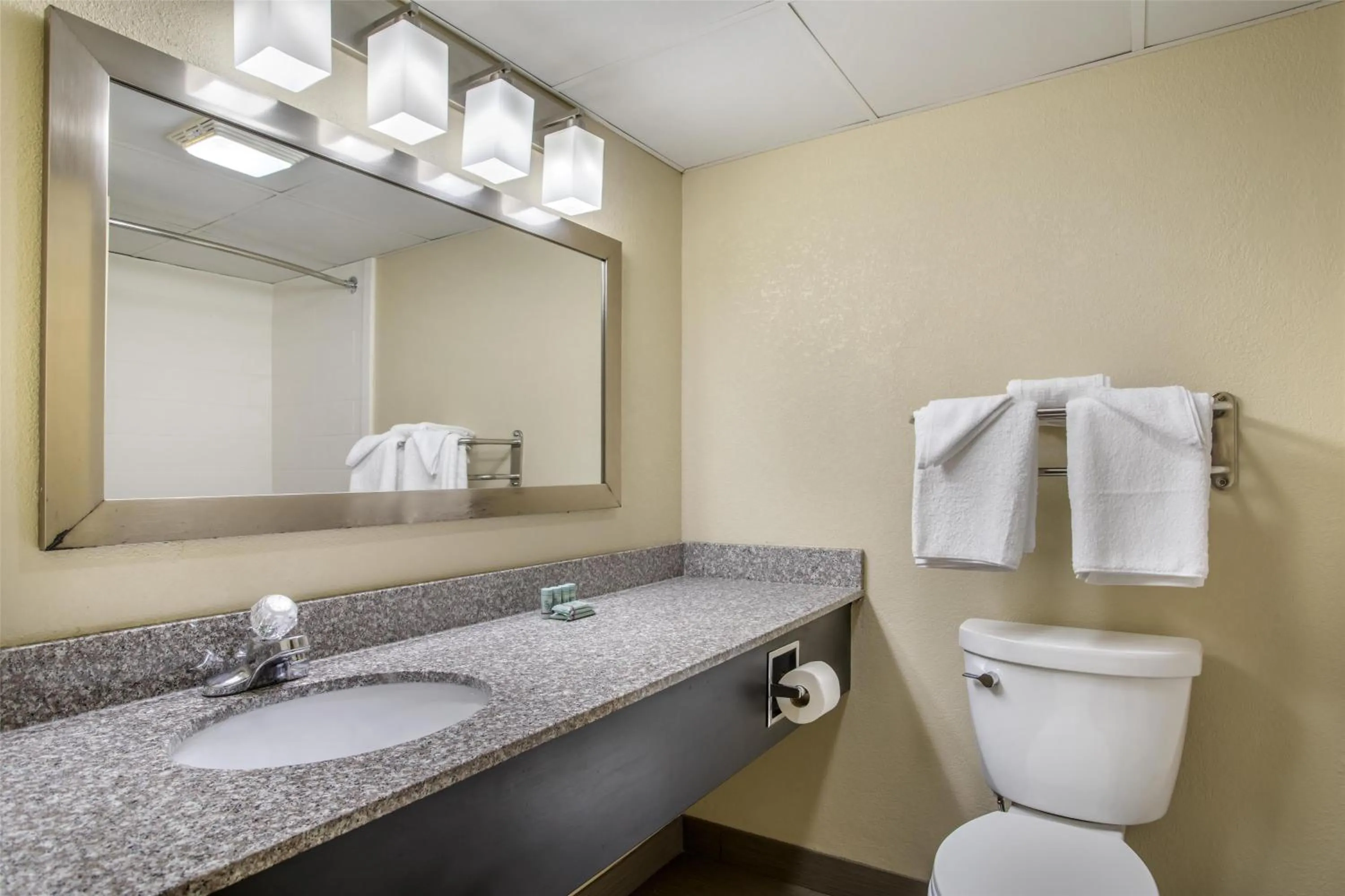 Bathroom in Best Western Plaza Inn