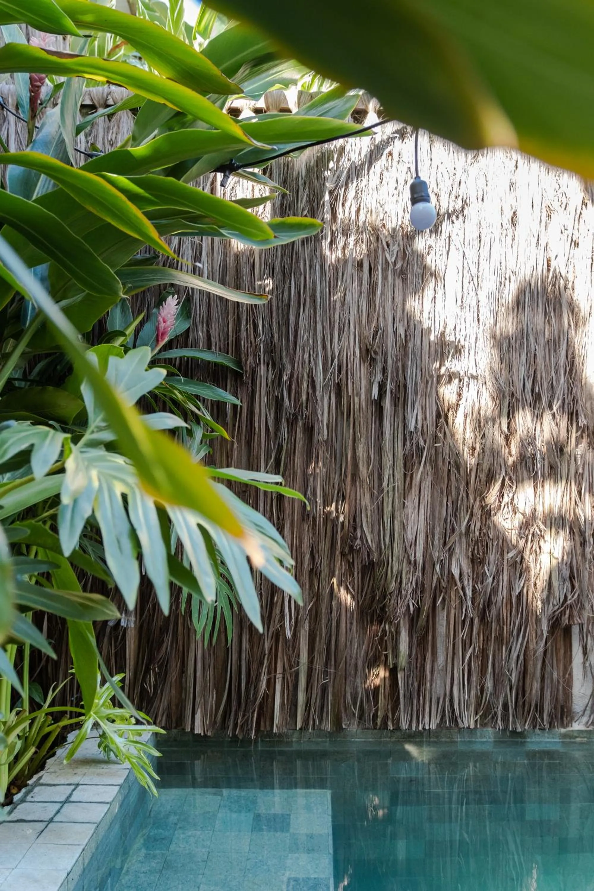 Swimming pool in Casa das Conchas Caraiva