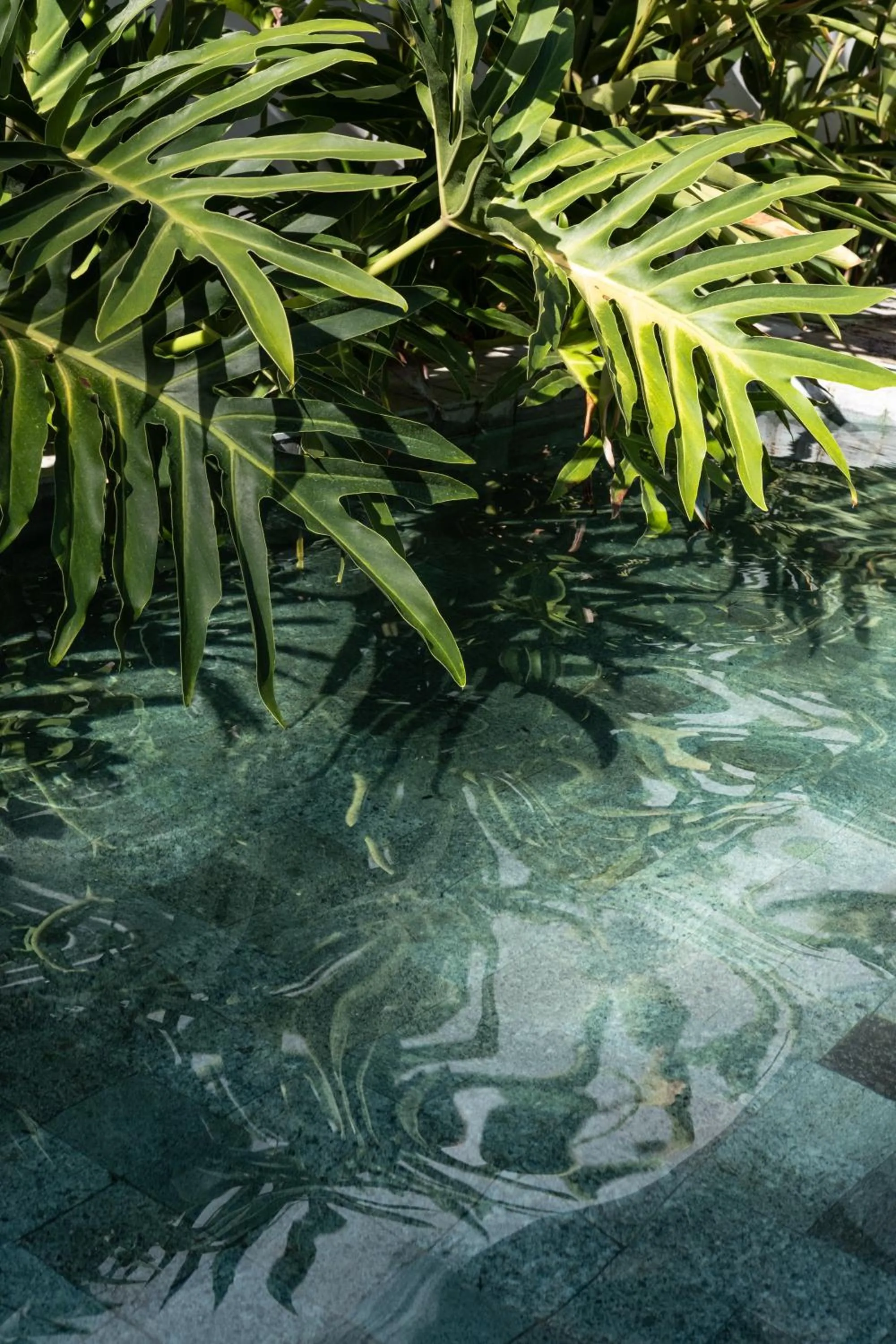 Garden in Casa das Conchas Caraiva