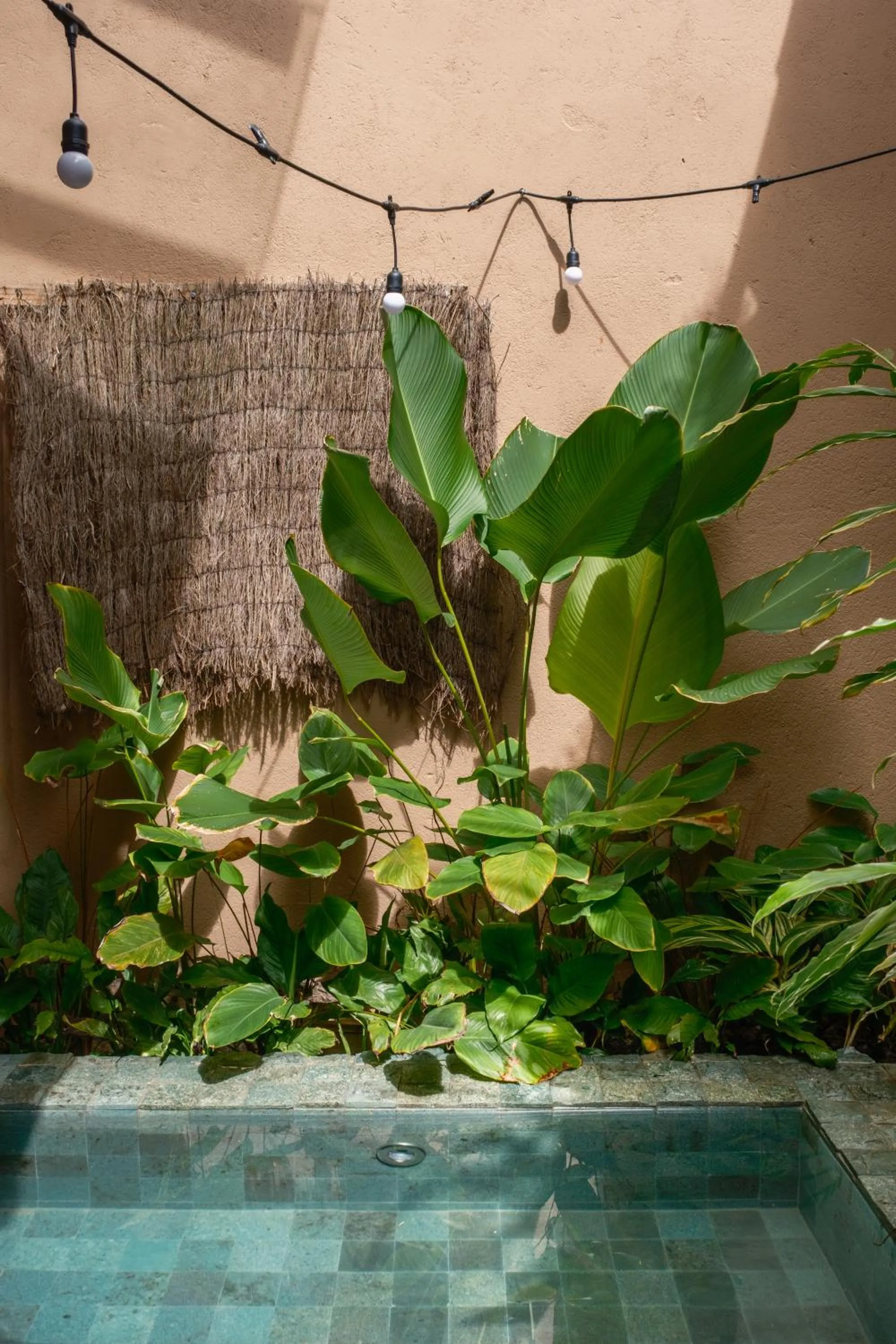 Garden in Casa das Conchas Caraiva