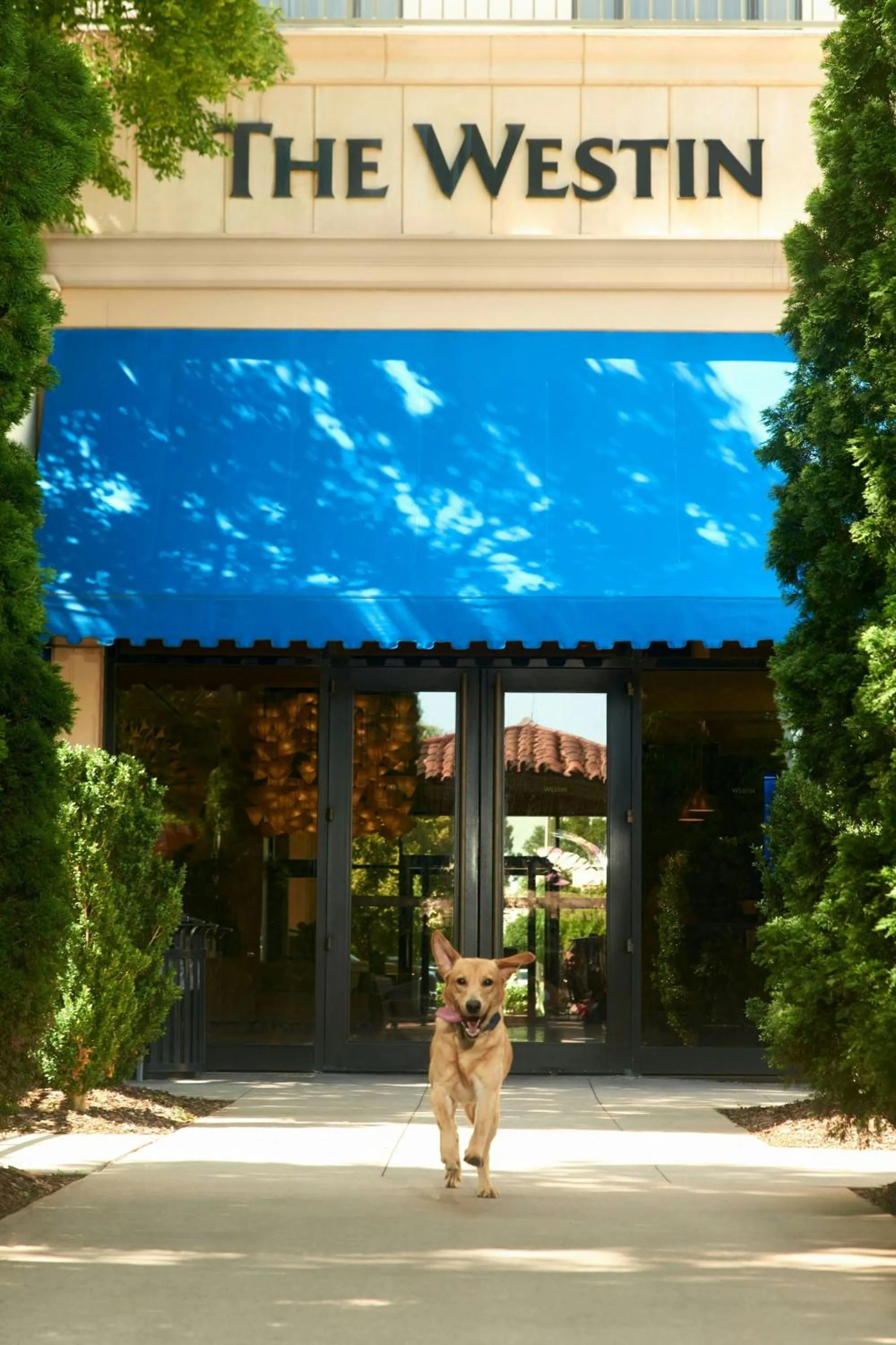 Other in The Westin Huntsville