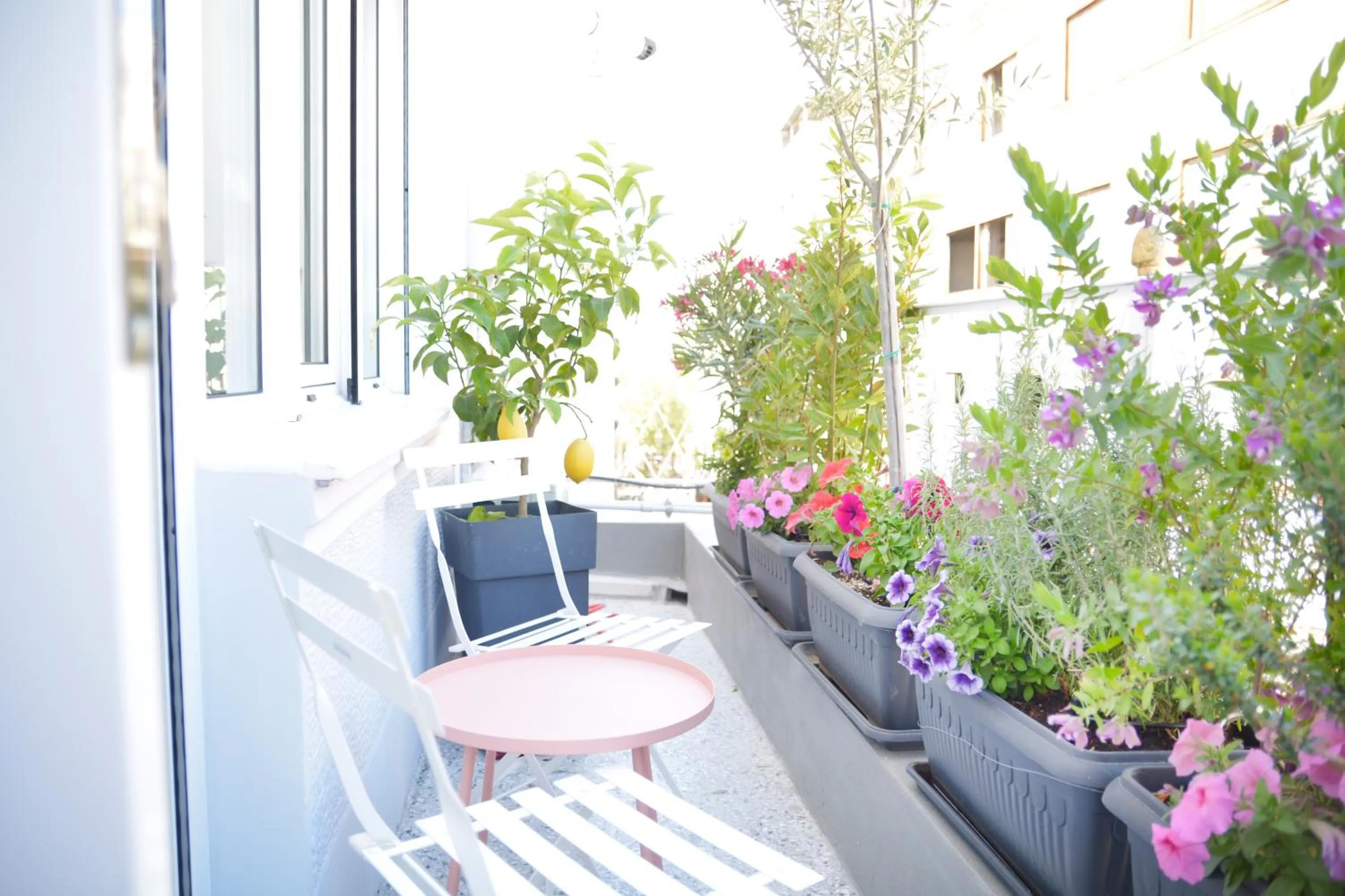 Balcony/Terrace in Athenian Sensations Apartments and Suites in the Heart of Athens