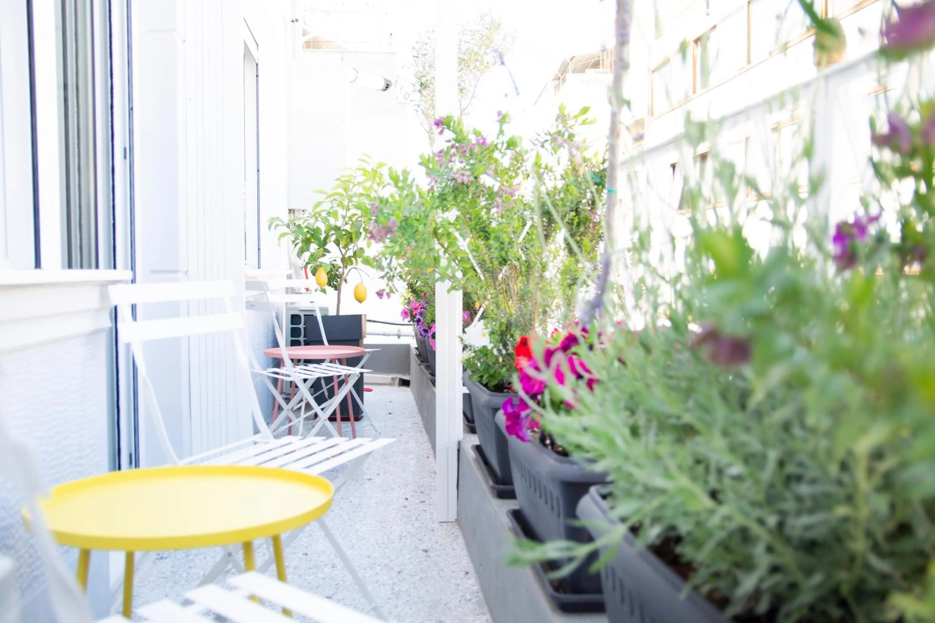 Kitchen or kitchenette in Athenian Sensations Apartments and Suites in the Heart of Athens