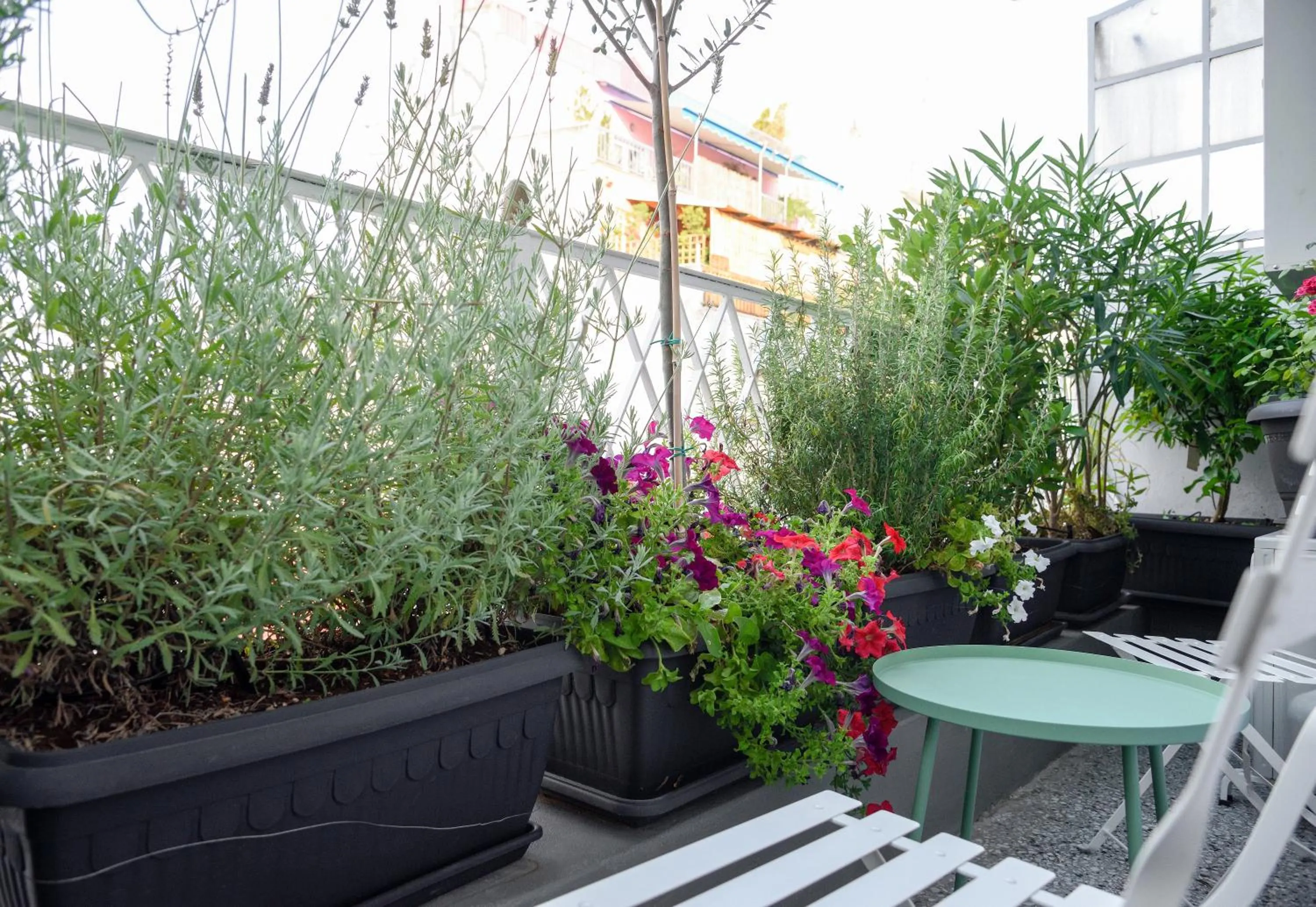 Athenian Sensations Apartments and Suites in the Heart of Athens