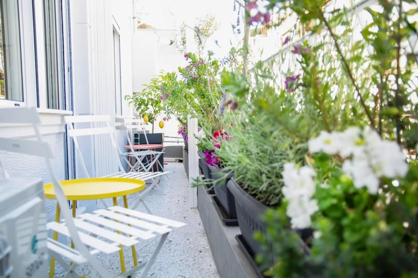Balcony/Terrace in Athenian Sensations Apartments and Suites in the Heart of Athens