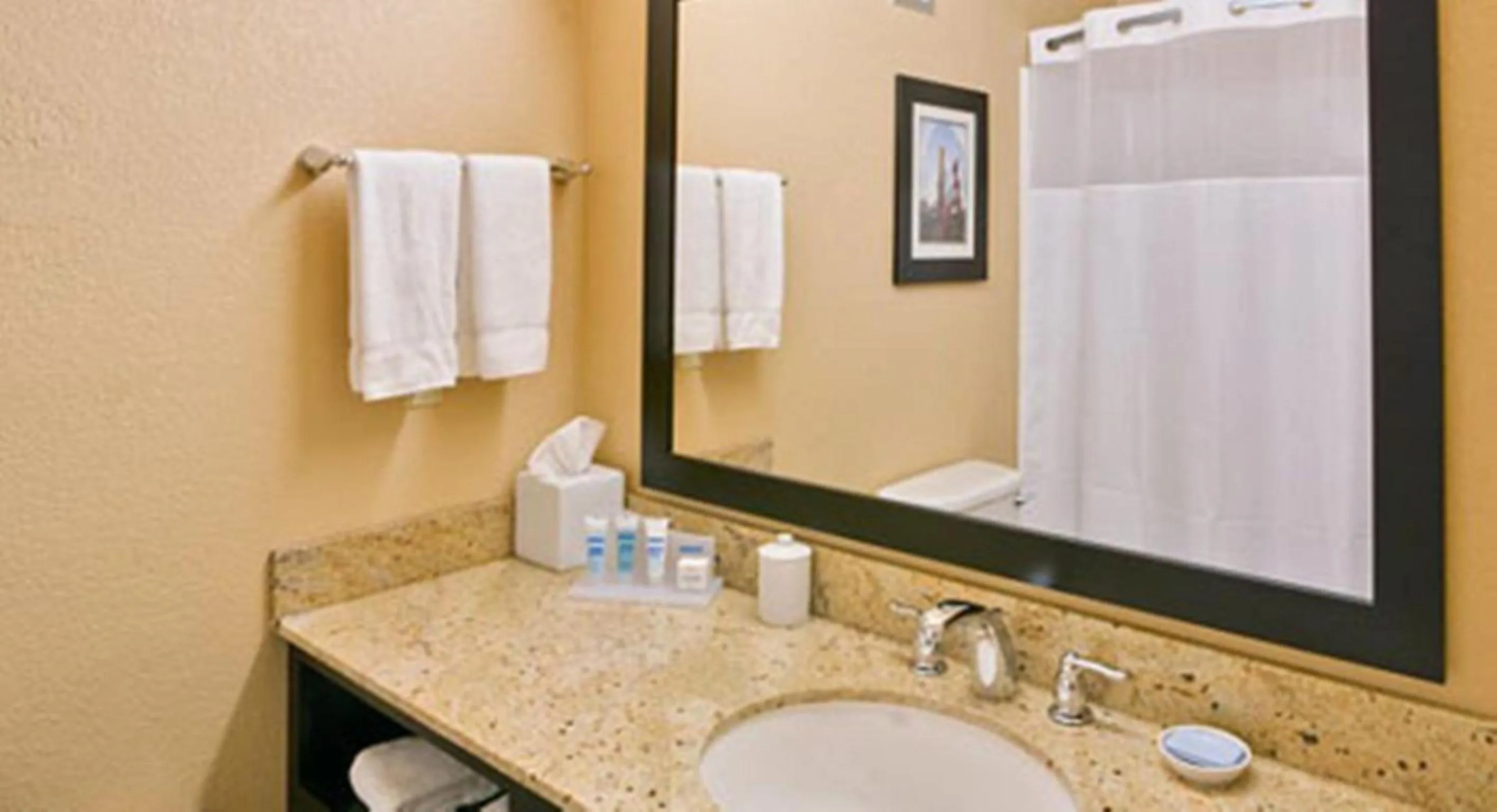 Bathroom in Wyndham Garden Oklahoma City Resort & Conference Hotel Near Airport, Fairgrounds Paycom & I40