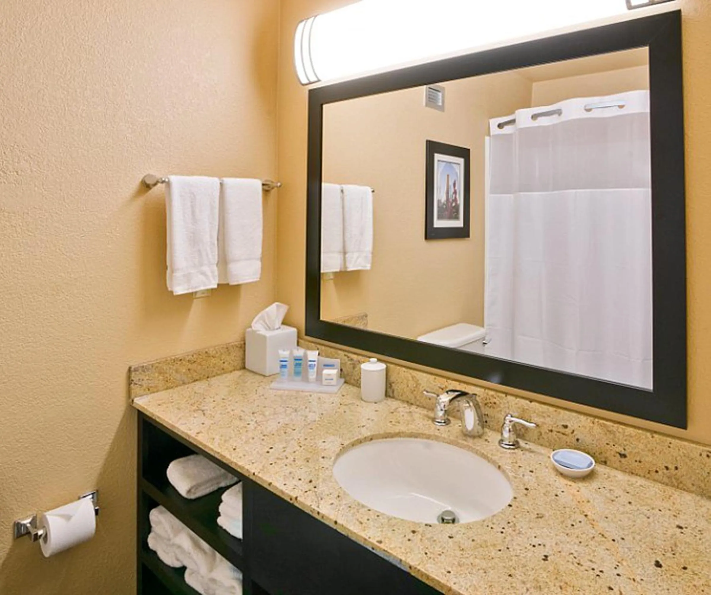 Bathroom in Wyndham Garden Oklahoma City Resort & Conference Hotel Near Airport, Fairgrounds Paycom & I40