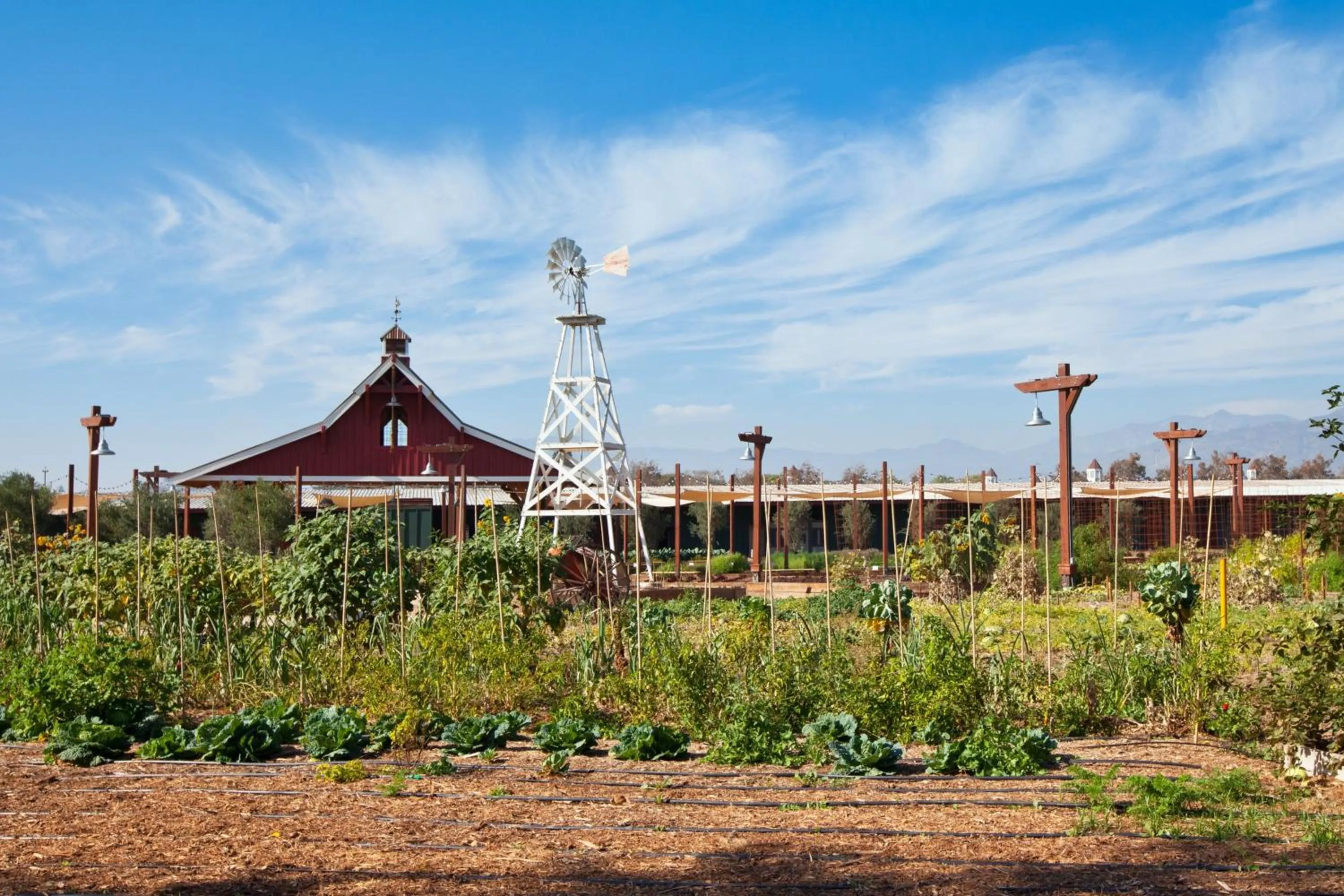 Other in Sheraton Fairplex Suites & Conference Center