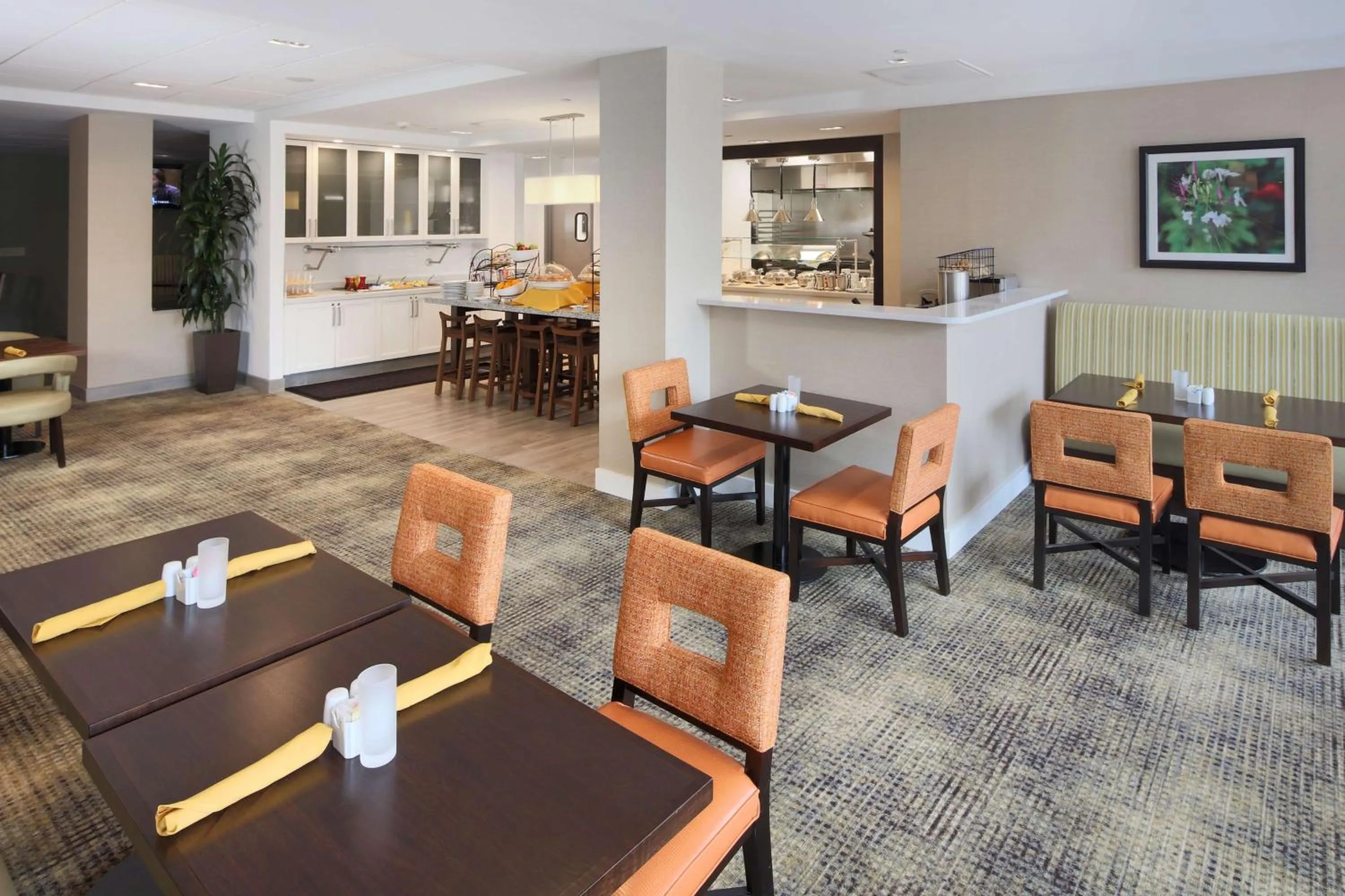Restaurant/places to eat in Hilton Garden Inn Reagan National Airport
