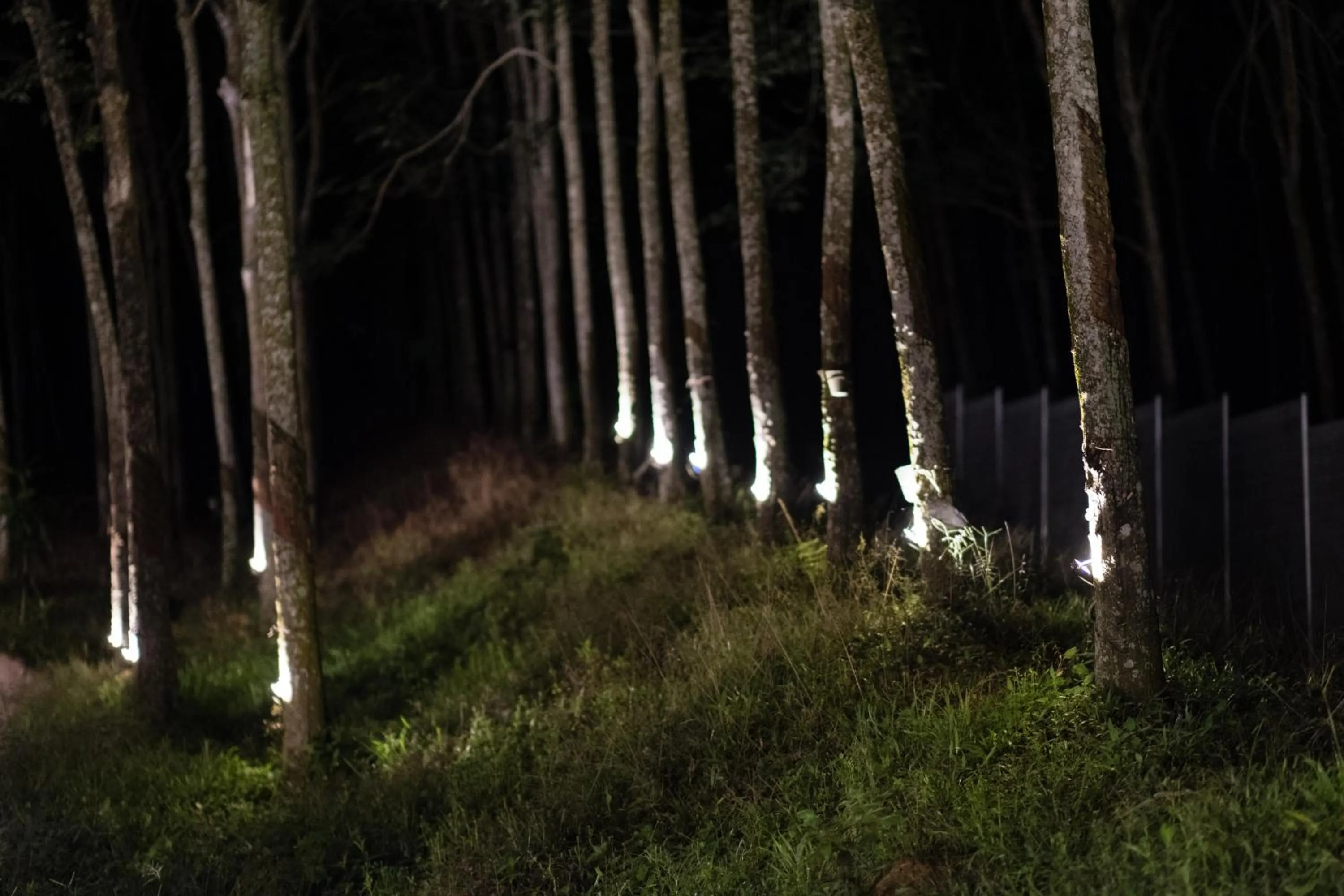 Property building in The Rubber Escape, Melaka