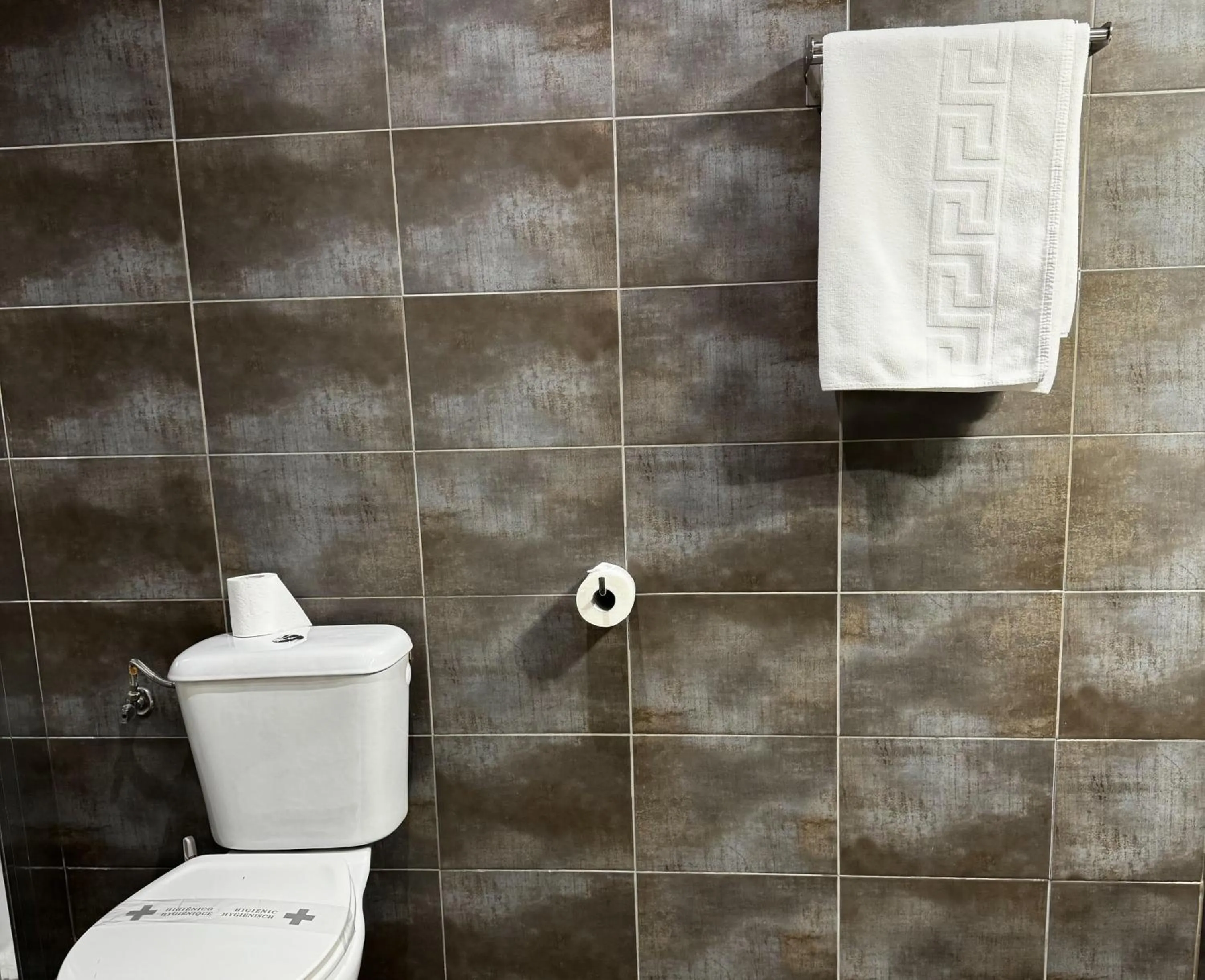 Shower in Hotel Plaza Mayor