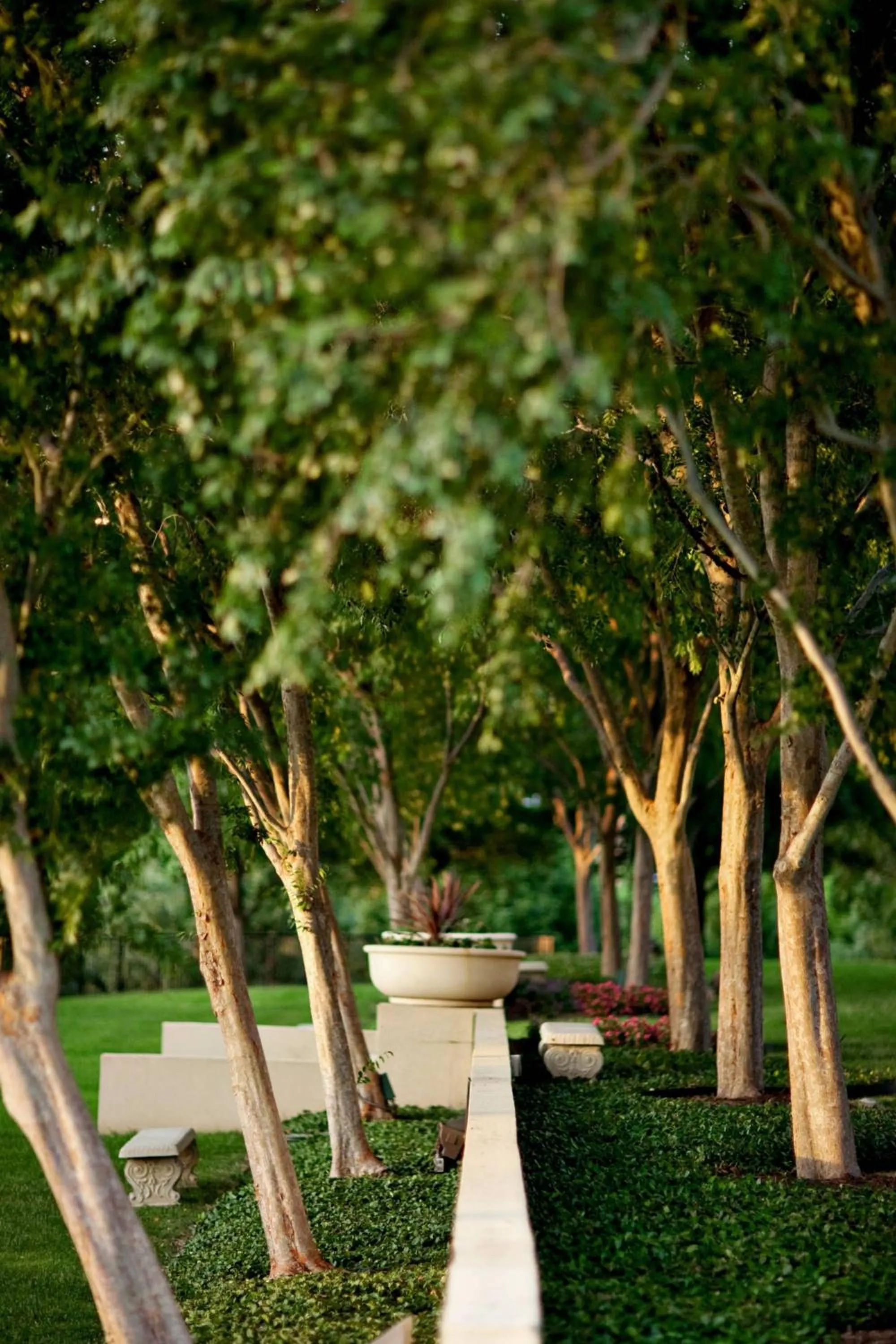 View (from property/room) in The Westin Dallas Stonebriar Golf Resort & Spa