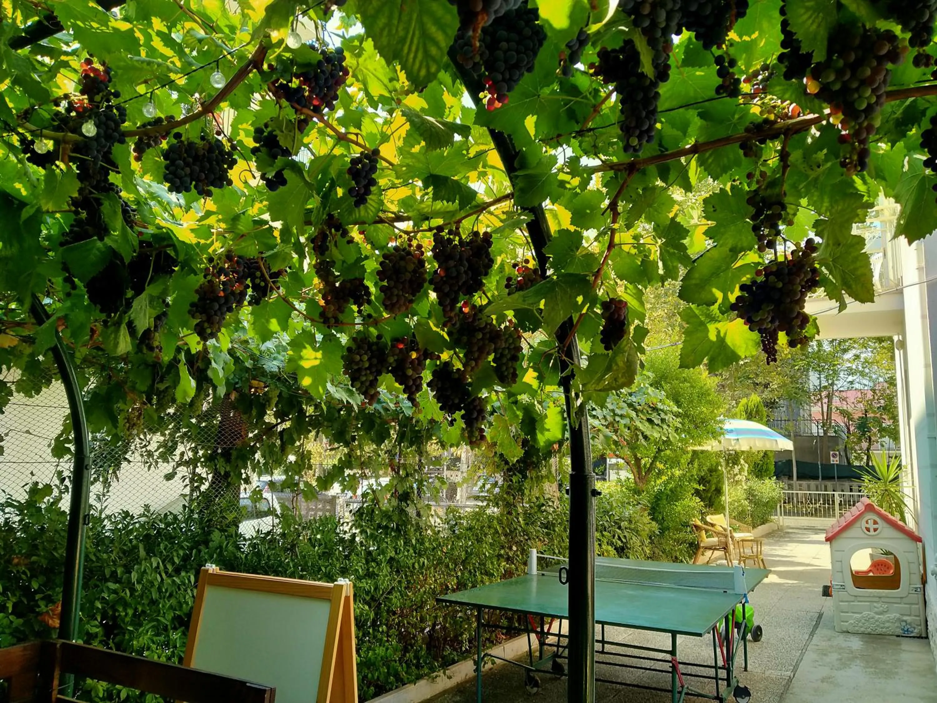 Garden in B&b villa lambusta