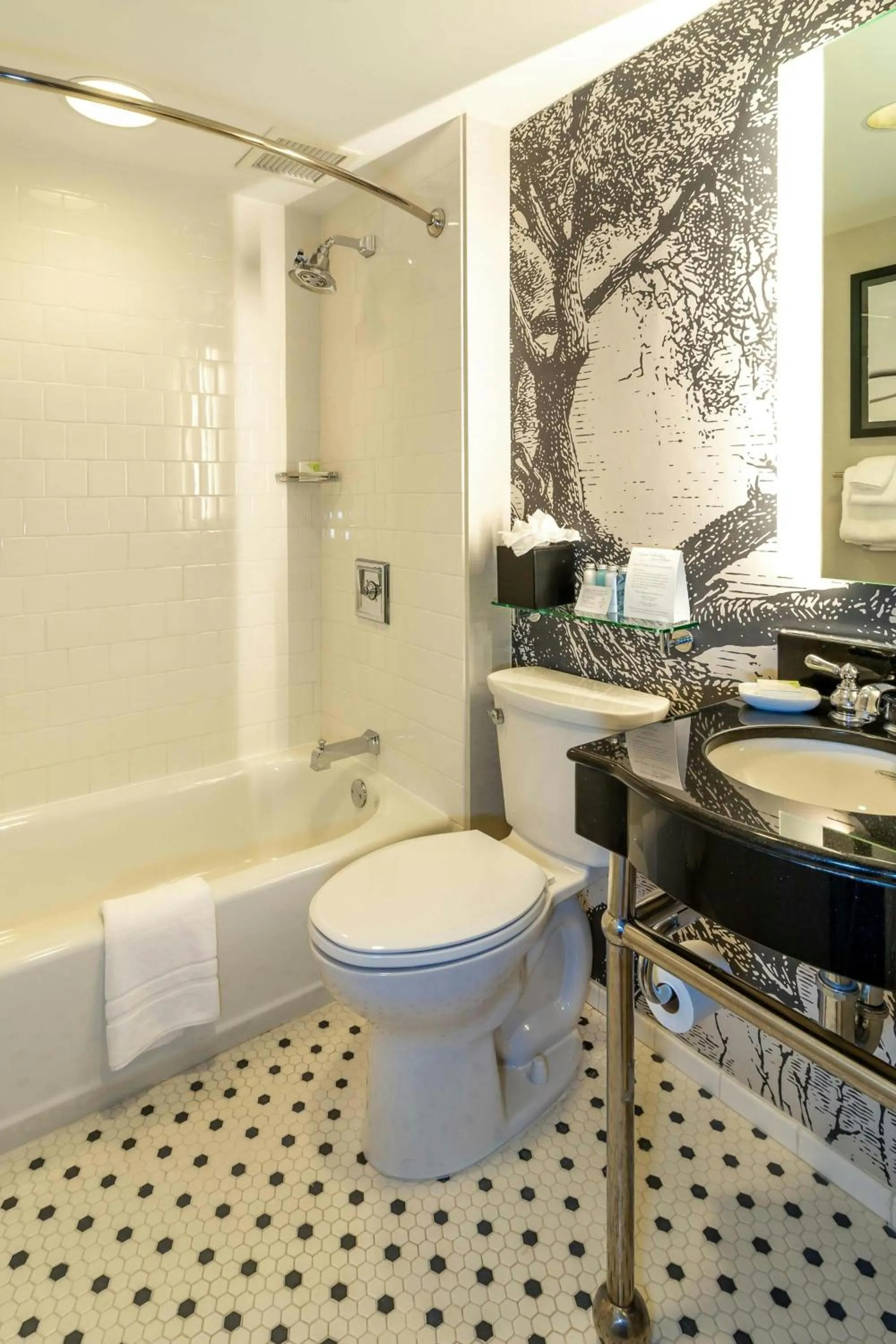 Bathroom in Williamsburg Lodge, Autograph Collection