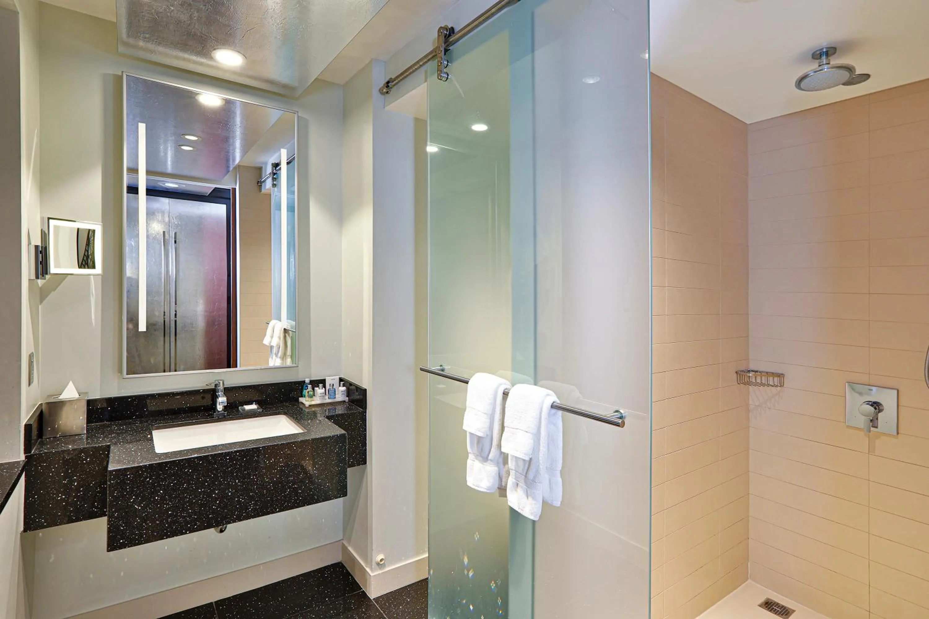 Bathroom in Radisson Blu Aqua Hotel, Chicago