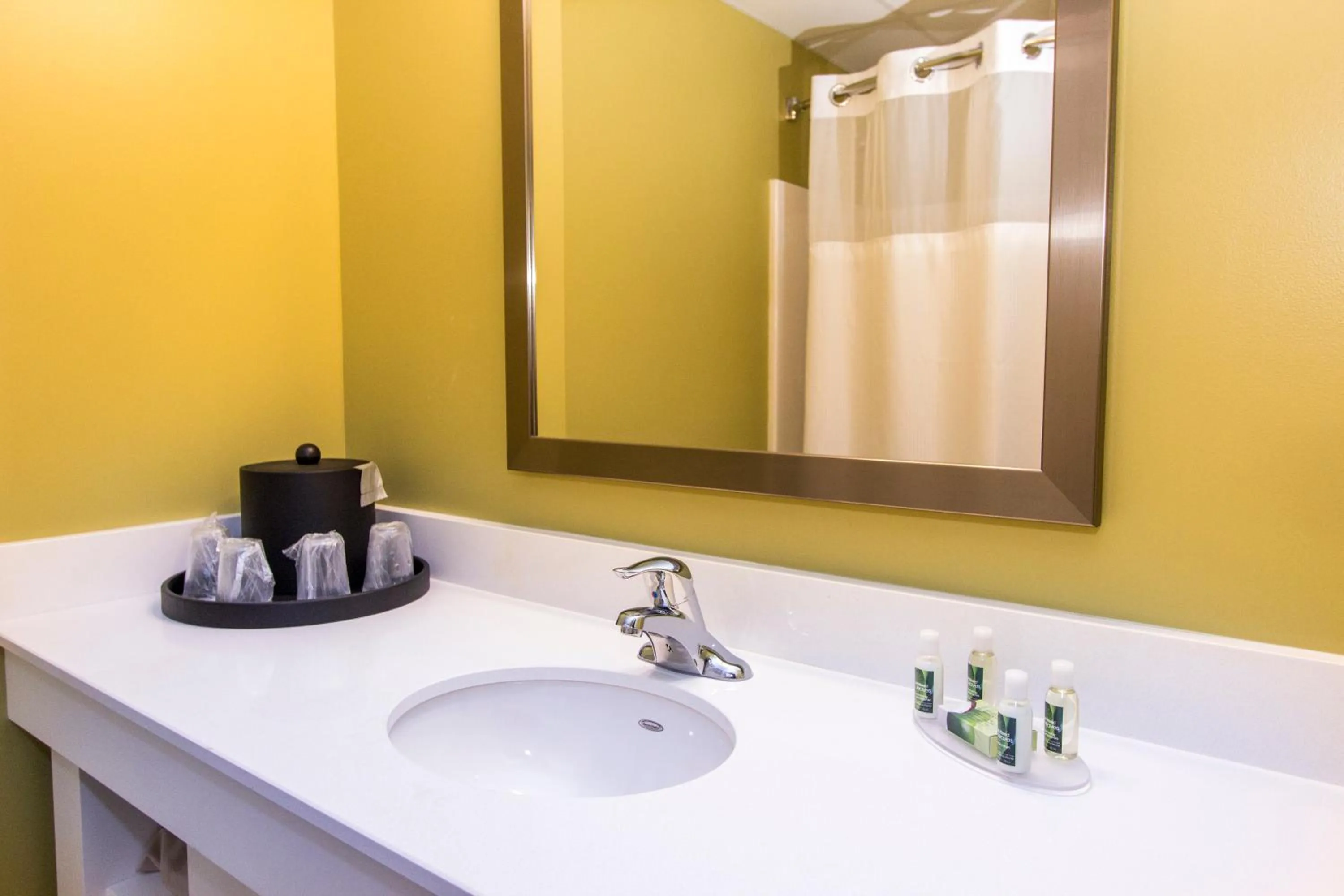 Bathroom in Cedar Point's Express Hotel